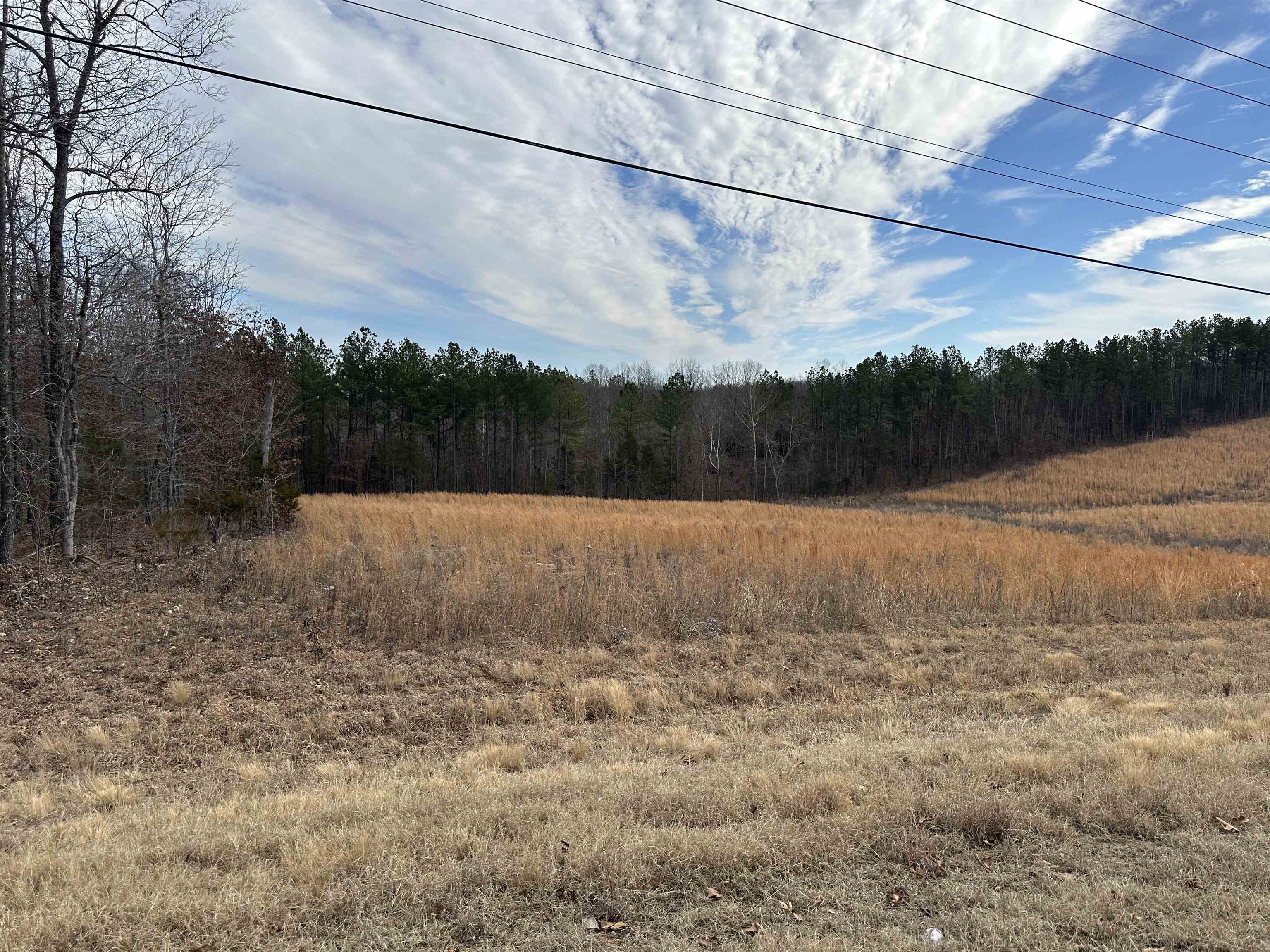 Photo 8 - Vacant Land for sale – XX  highway 62/412   Hardy, AR