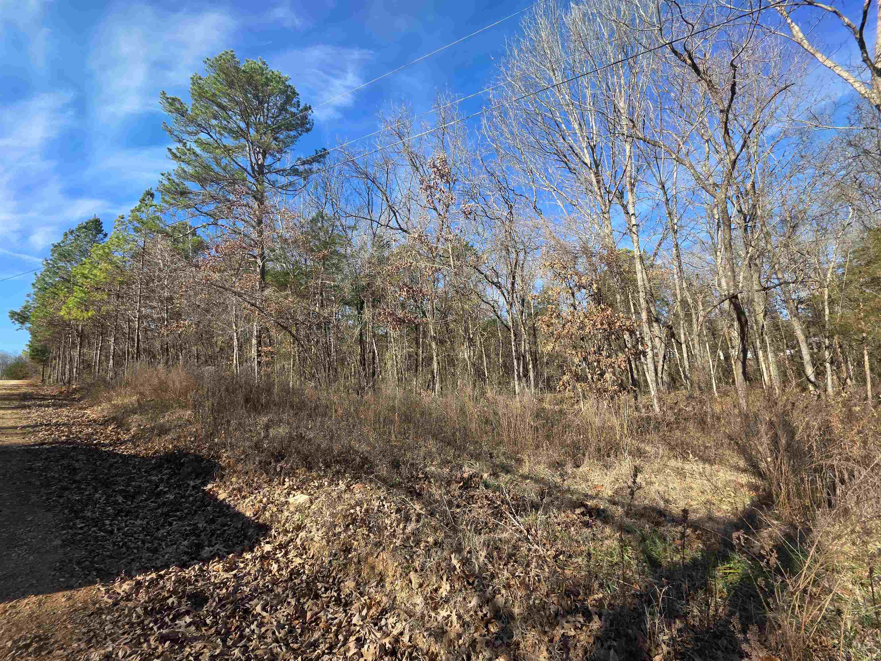 Vacant Land for sale – 49  Meadow Brook   Sage, AR