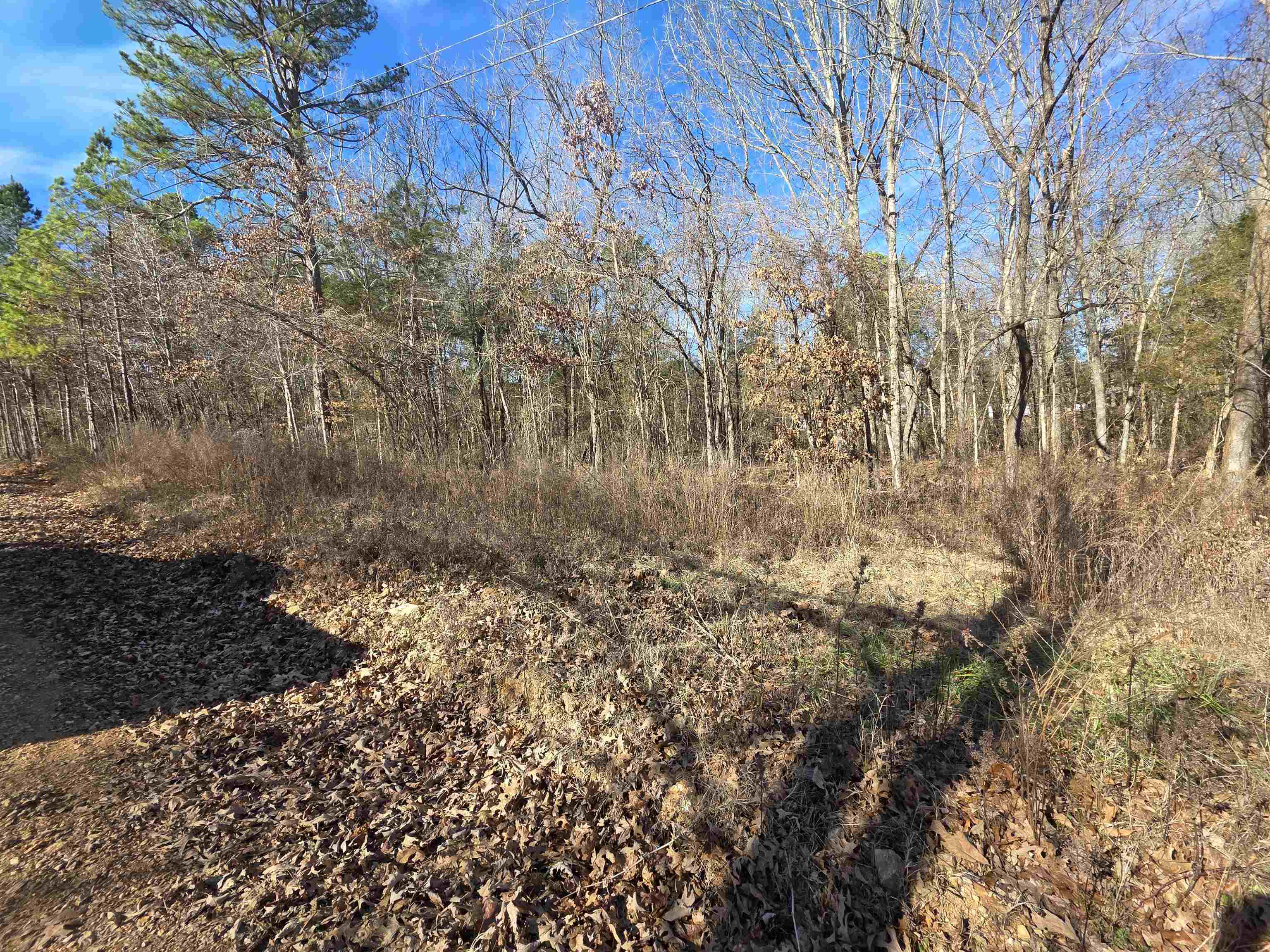 Photo 2 - Vacant Land for sale – 49  Meadow Brook   Sage, AR