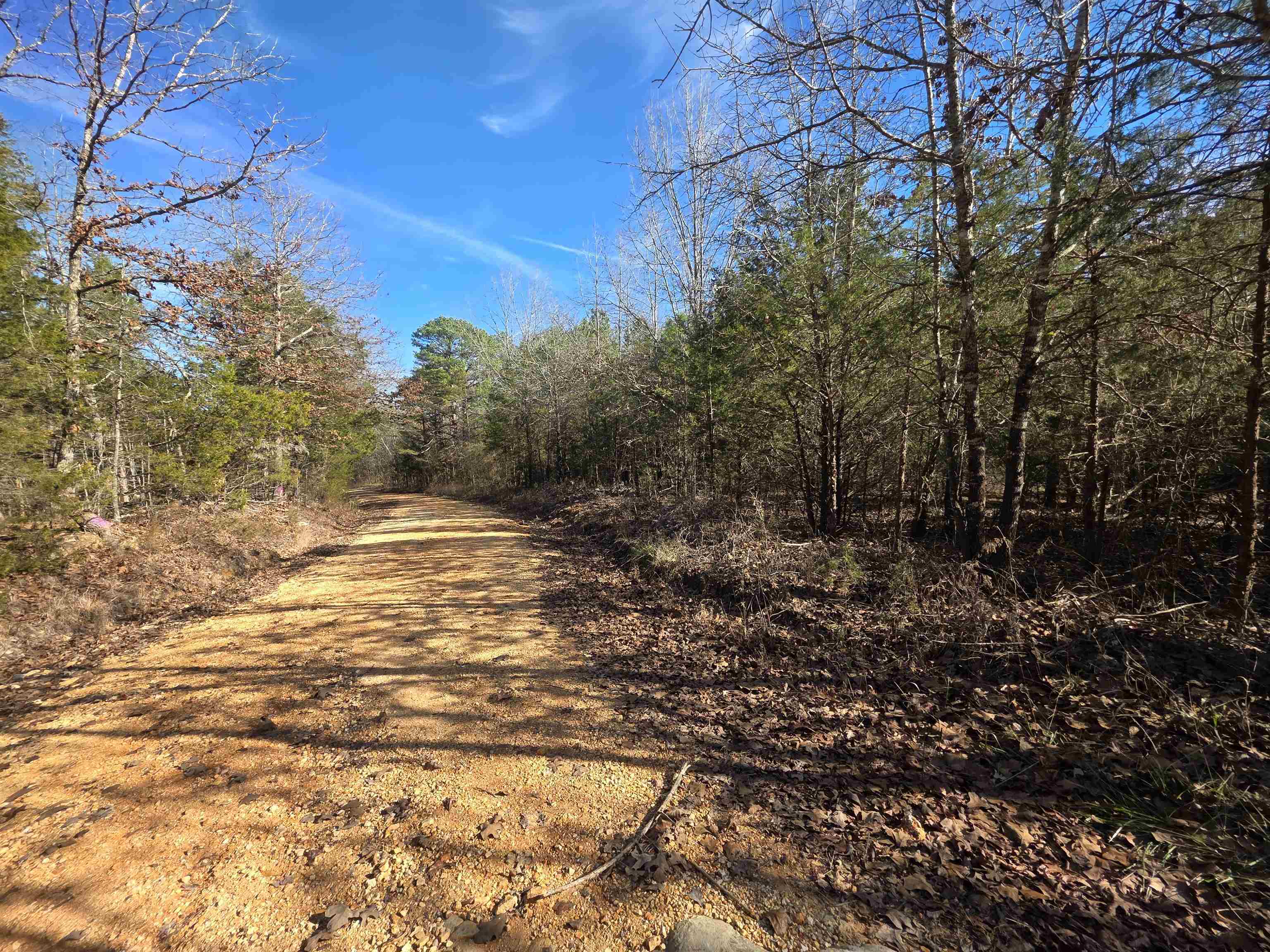 Photo 13 - Vacant Land for sale – 49  Meadow Brook   Sage, AR