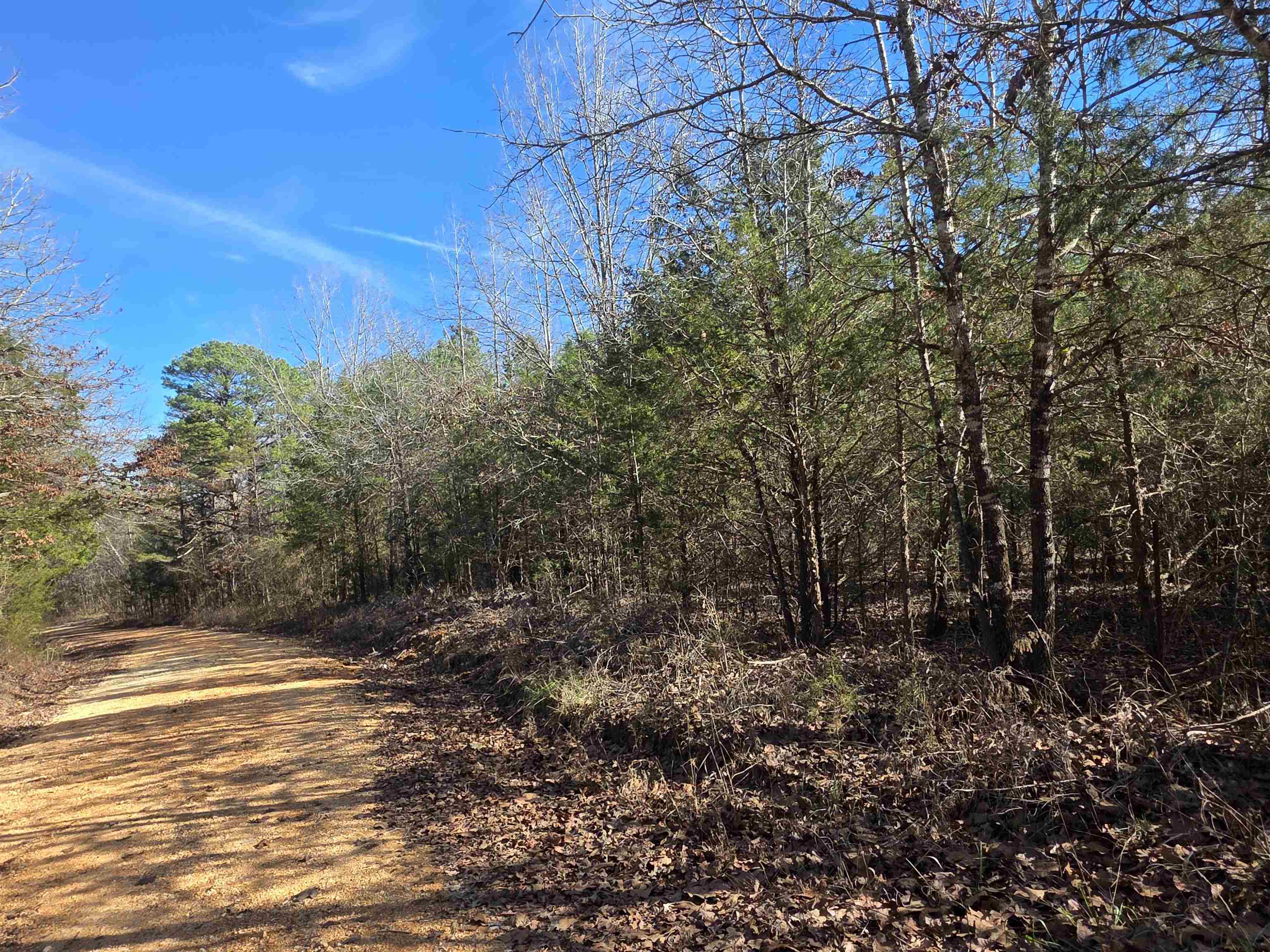 Photo 16 - Vacant Land for sale – 49  Meadow Brook   Sage, AR