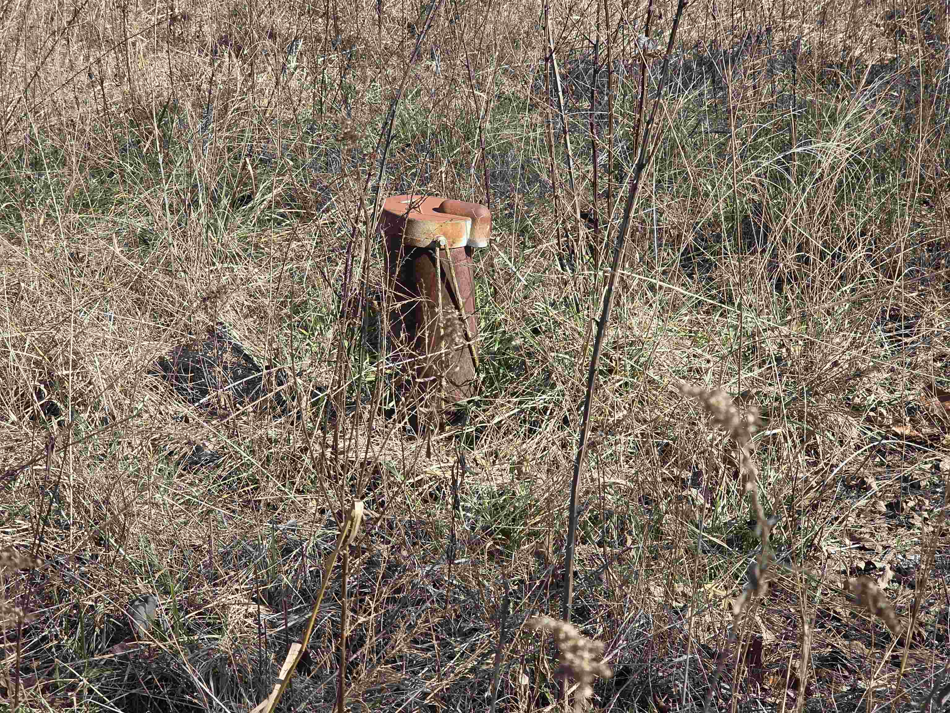 Photo 19 - Vacant Land for sale – 49  Meadow Brook   Sage, AR