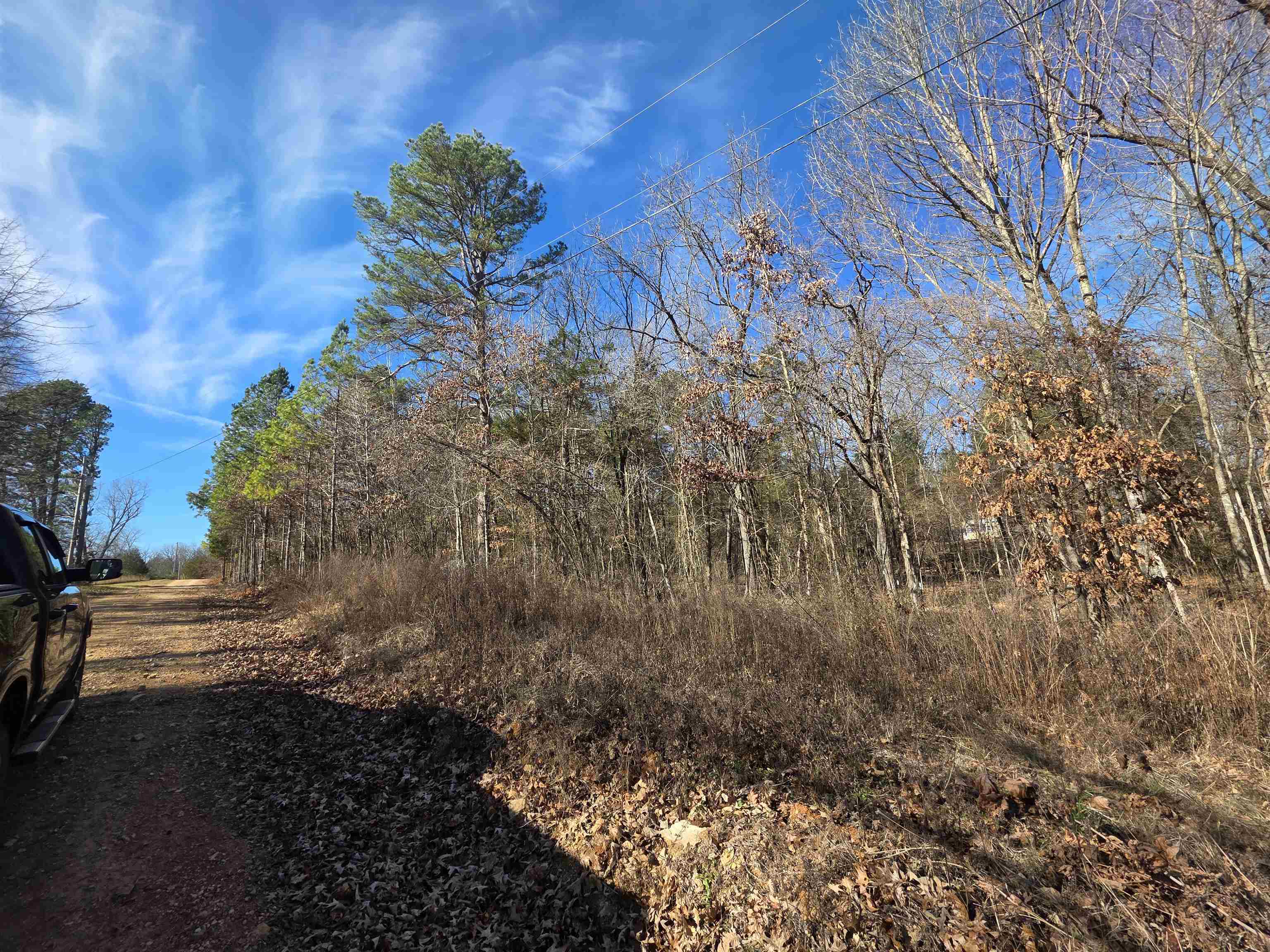 Photo 5 - Vacant Land for sale – 49  Meadow Brook   Sage, AR