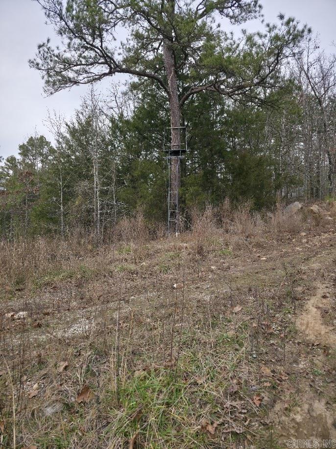 Photo 28 - Residential for sale – 287  Thistle Valley   Violet Hill, AR