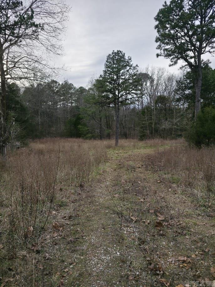 Photo 30 - Residential for sale – 287  Thistle Valley   Violet Hill, AR