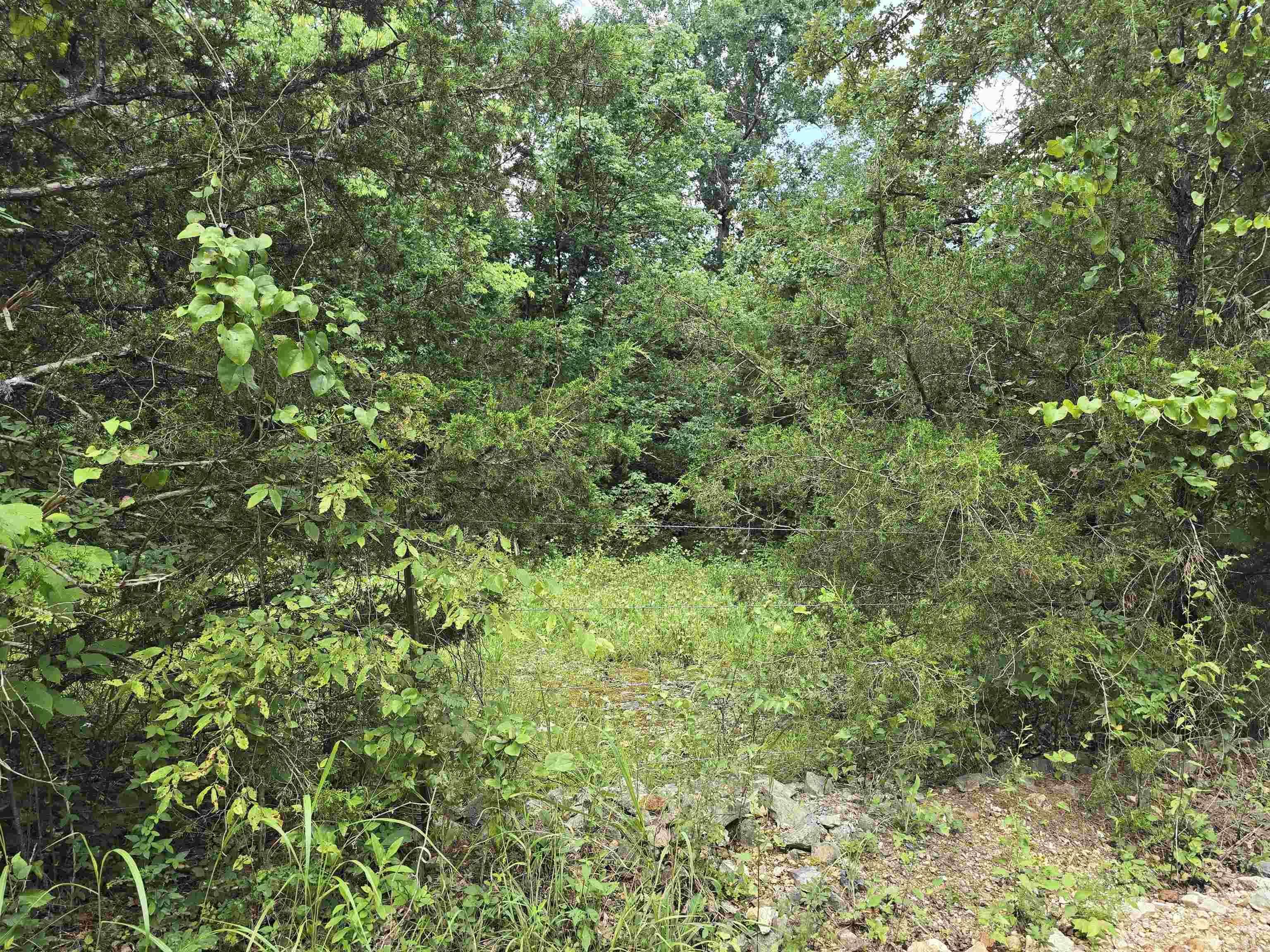 Photo 4 - Vacant Land for sale – 0  Pleasant Ridge   Poughkeepsie, AR