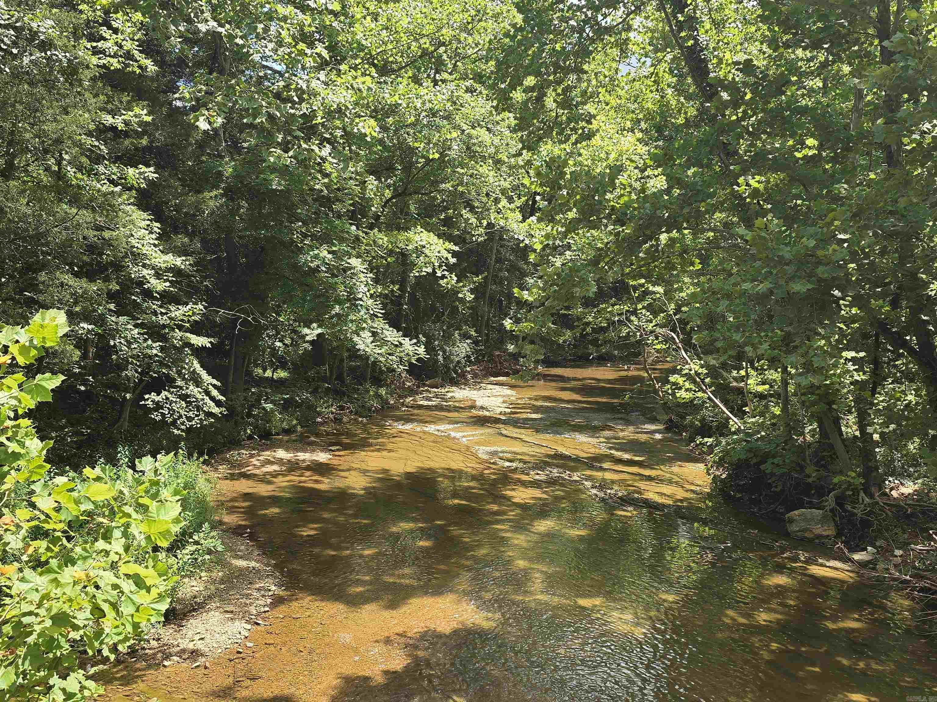 Photo 5 - Vacant Land for sale – 0  Pleasant Ridge   Poughkeepsie, AR