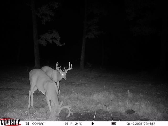 Photo 11 - Vacant Land for sale – 71A  Love Hollow   Mount Pleasant, AR