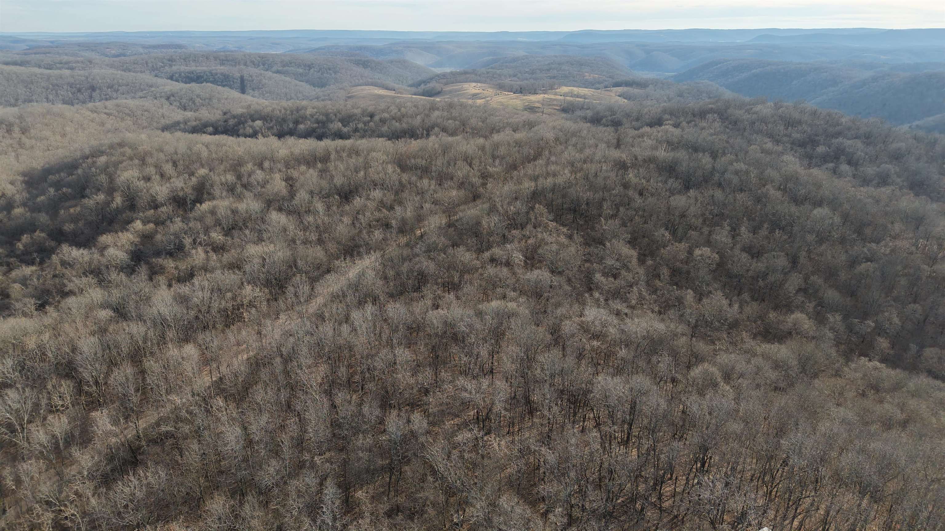 Photo 3 - Vacant Land for sale – 71A  Love Hollow   Mount Pleasant, AR