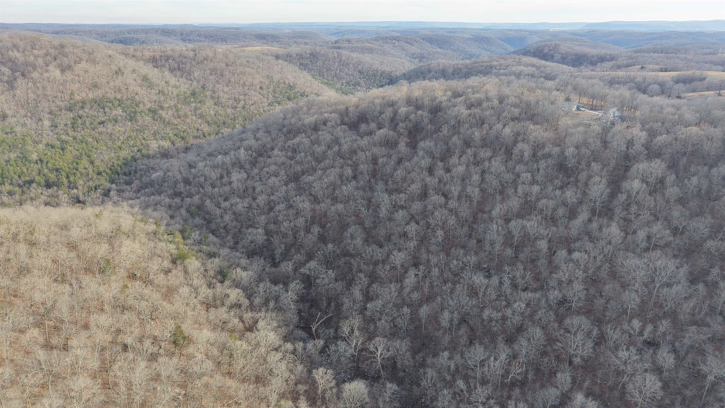 Photo 21 - Vacant Land for sale – 71A  Love Hollow   Mount Pleasant, AR