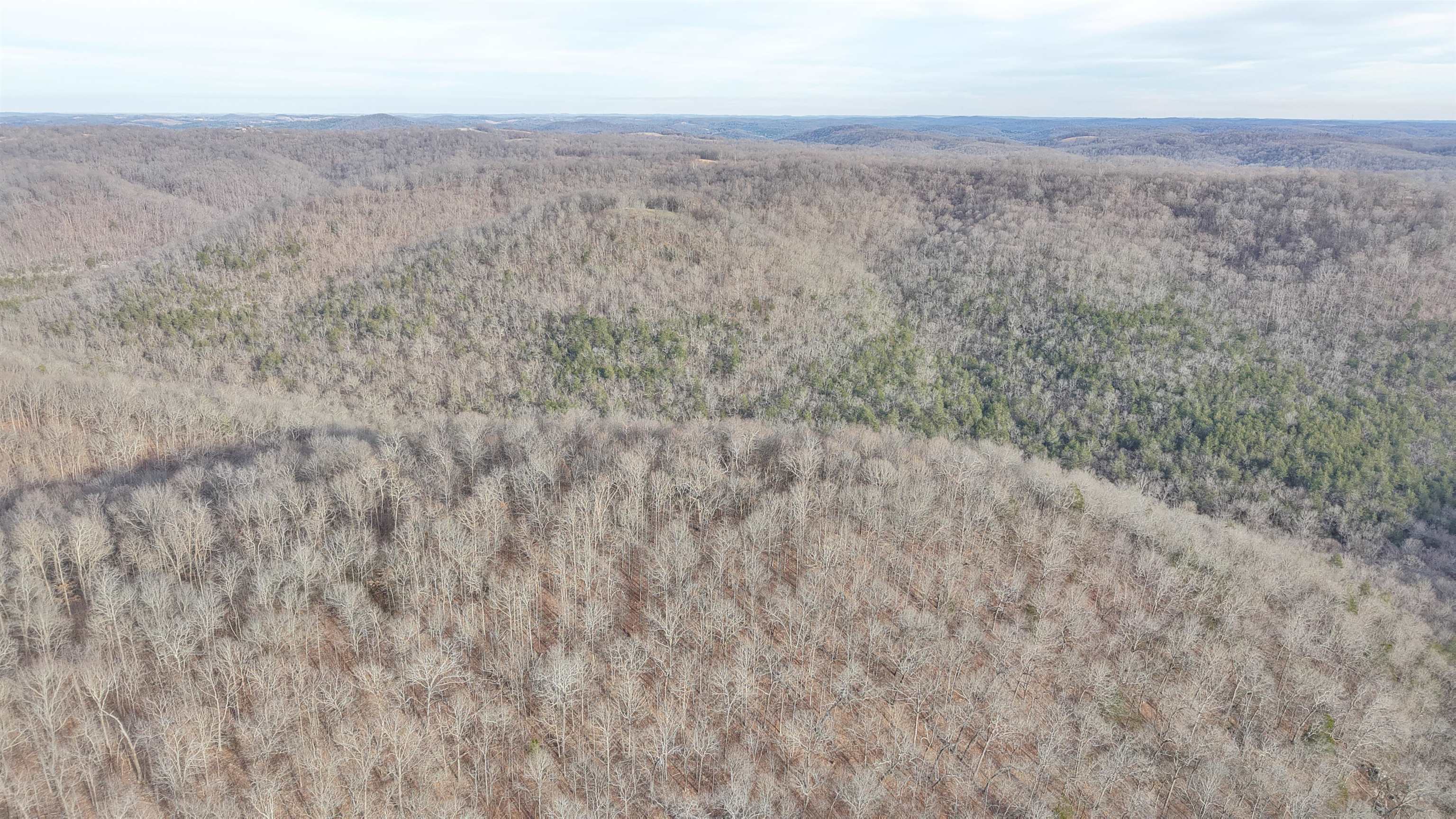 Photo 22 - Vacant Land for sale – 71A  Love Hollow   Mount Pleasant, AR