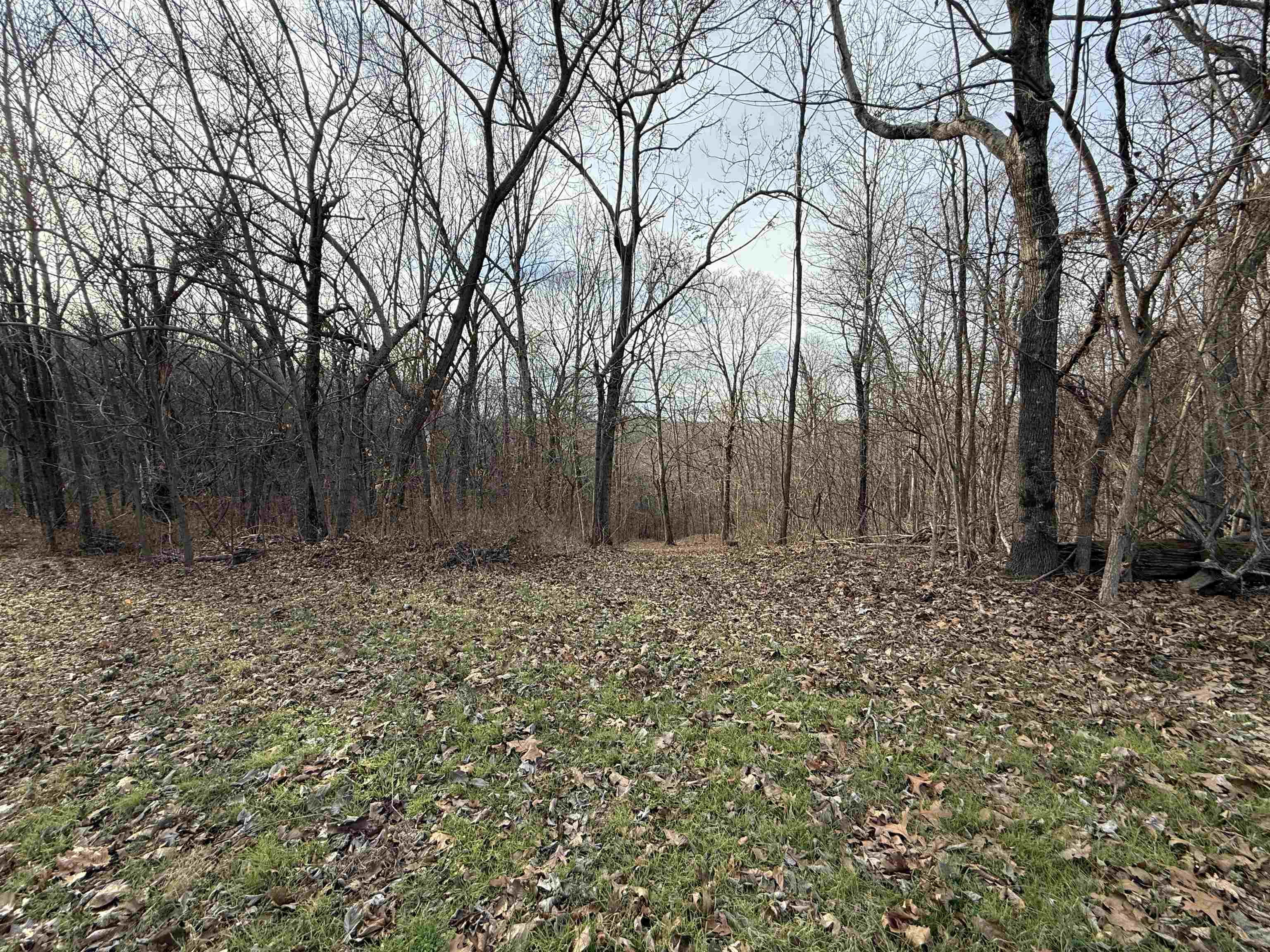 Photo 29 - Vacant Land for sale – 71A  Love Hollow   Mount Pleasant, AR