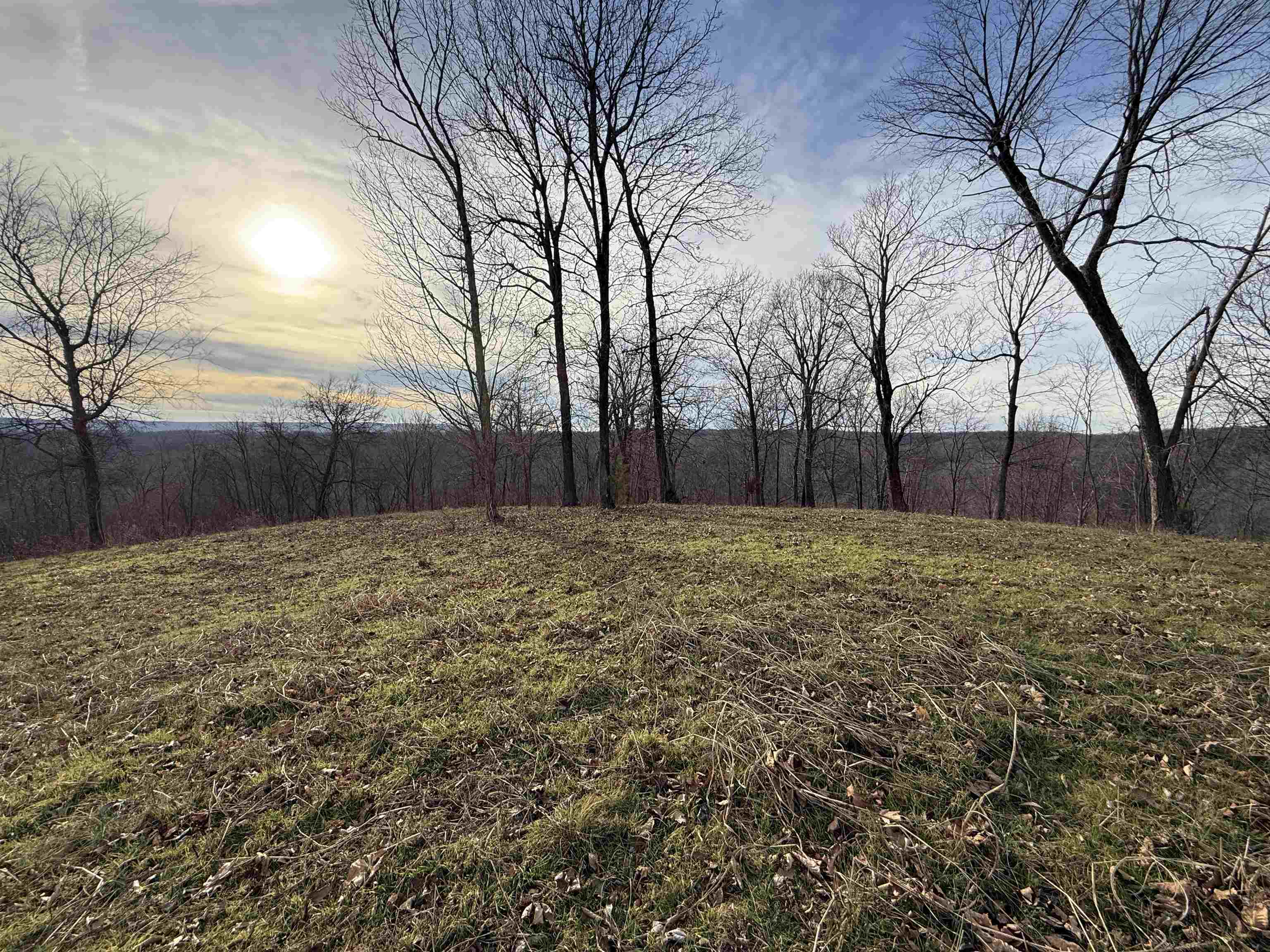 Photo 30 - Vacant Land for sale – 71A  Love Hollow   Mount Pleasant, AR
