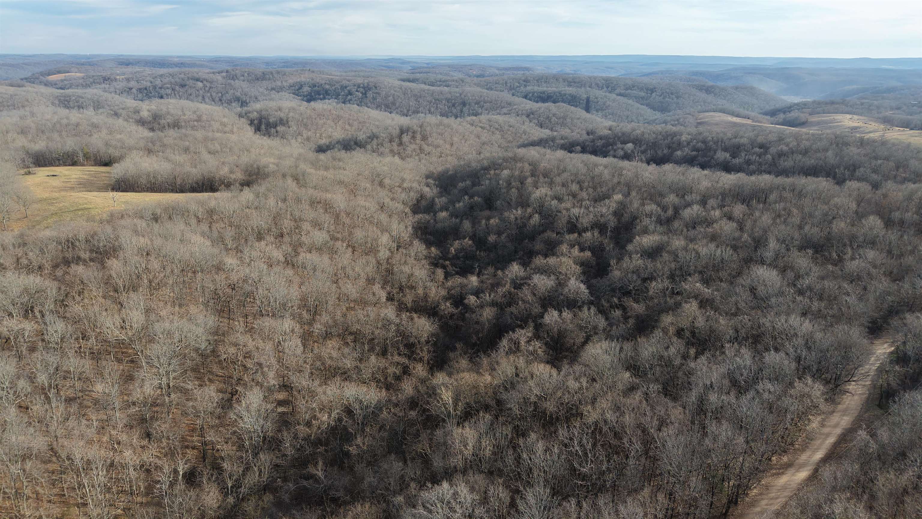 Photo 4 - Vacant Land for sale – 71A  Love Hollow   Mount Pleasant, AR