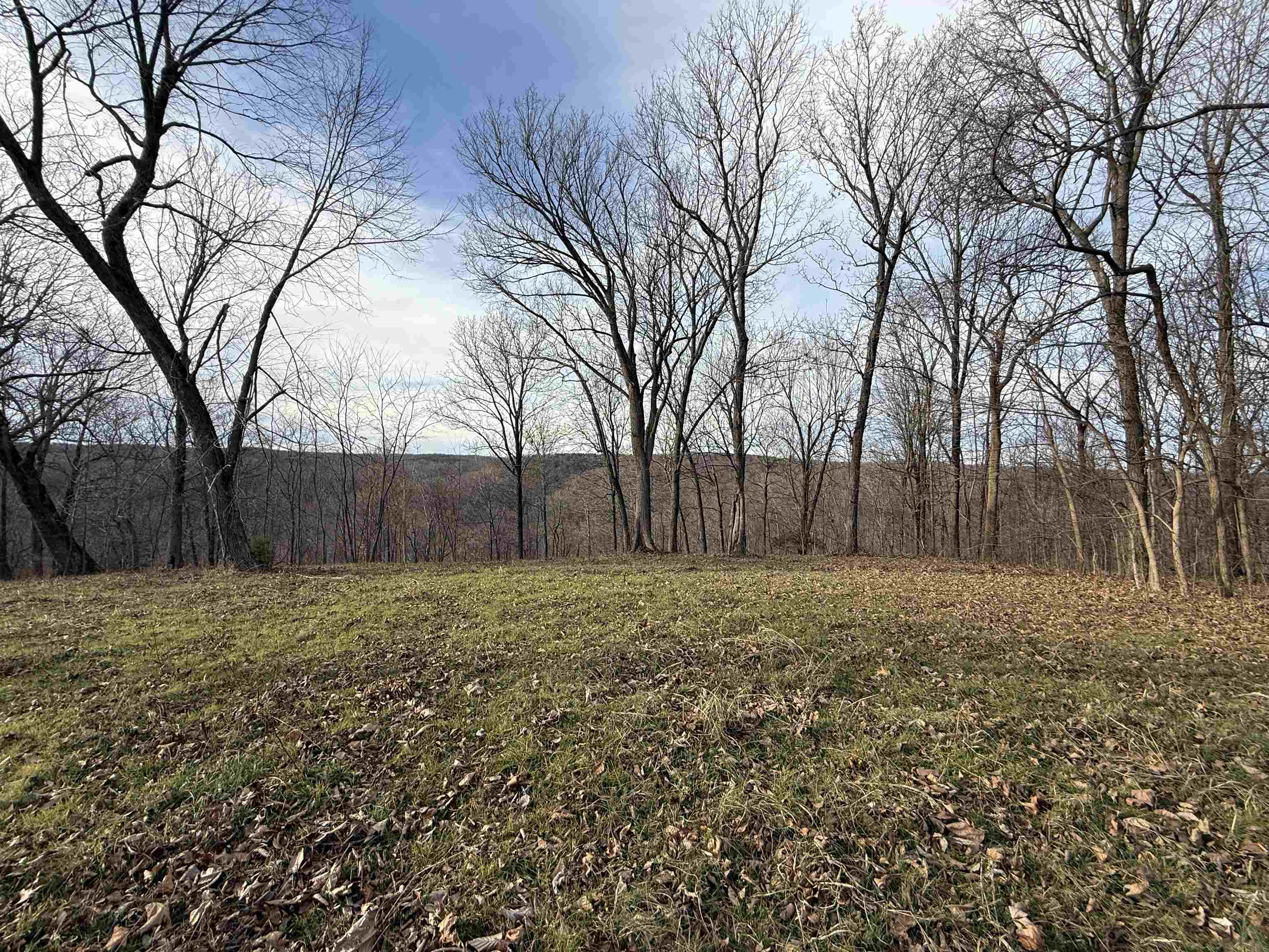 Photo 31 - Vacant Land for sale – 71A  Love Hollow   Mount Pleasant, AR