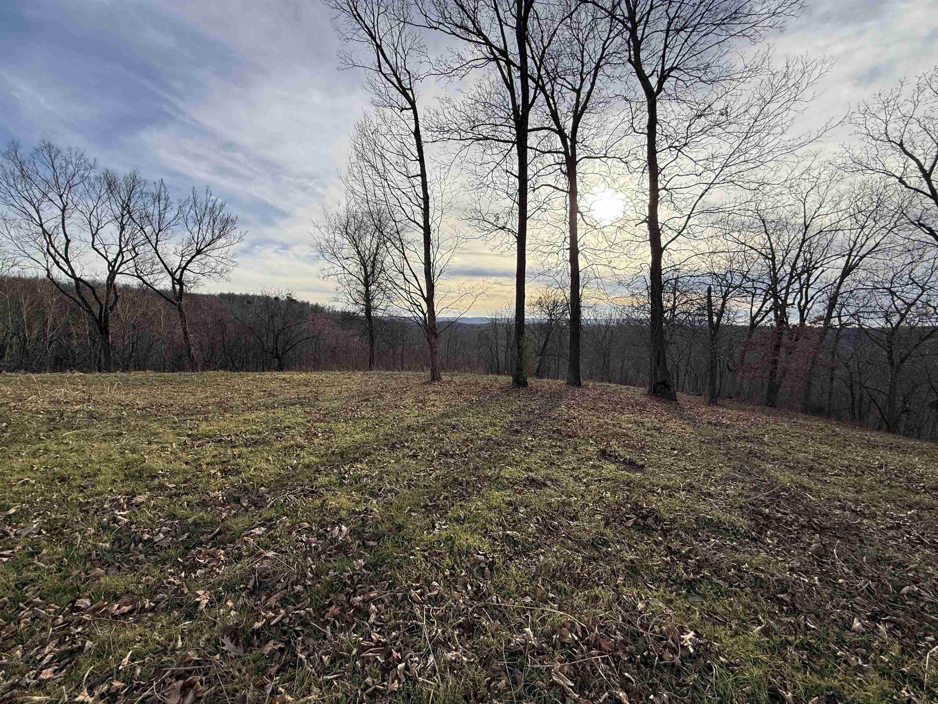 Photo 32 - Vacant Land for sale – 71A  Love Hollow   Mount Pleasant, AR