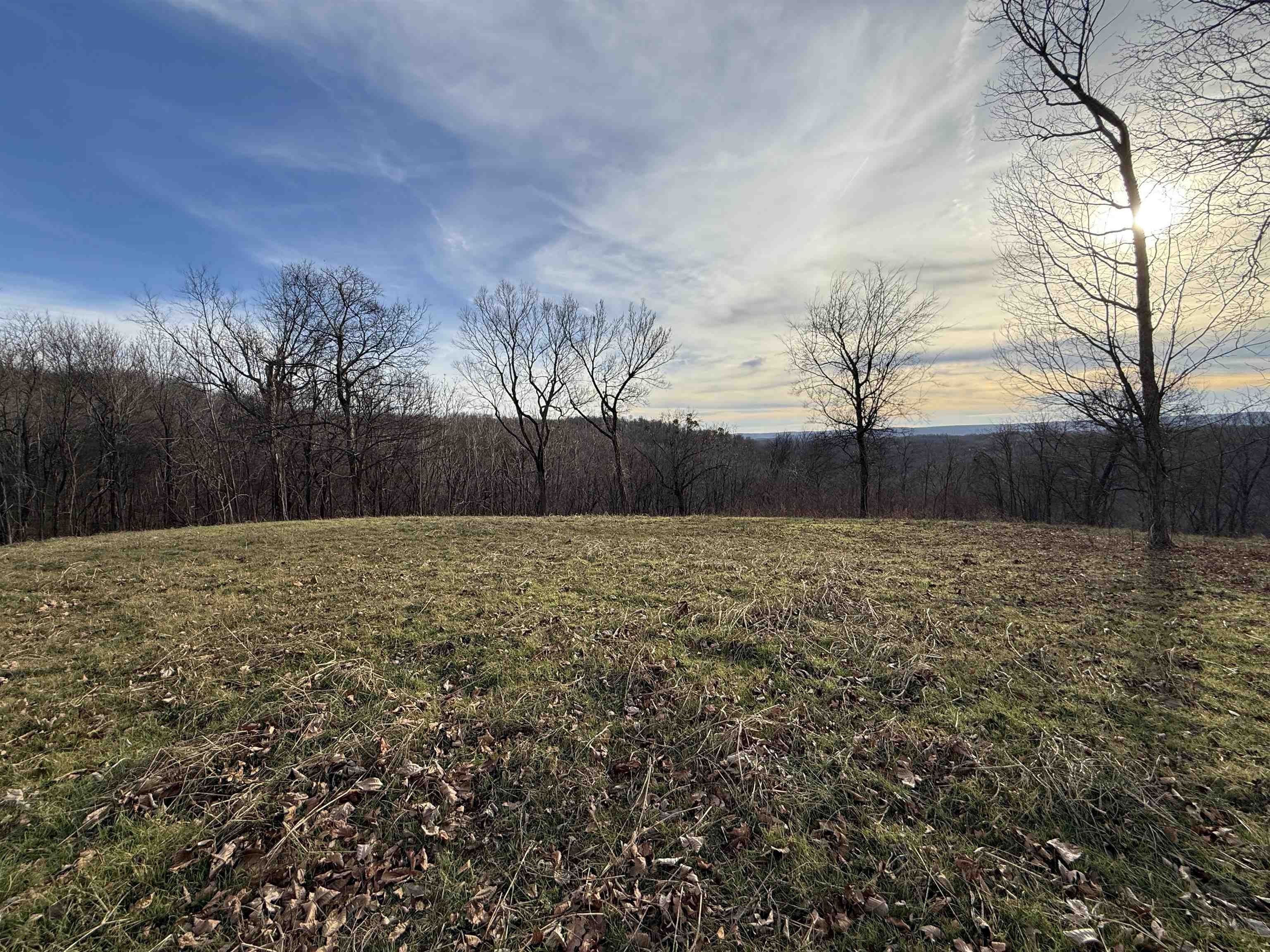 Photo 6 - Vacant Land for sale – 71A  Love Hollow   Mount Pleasant, AR