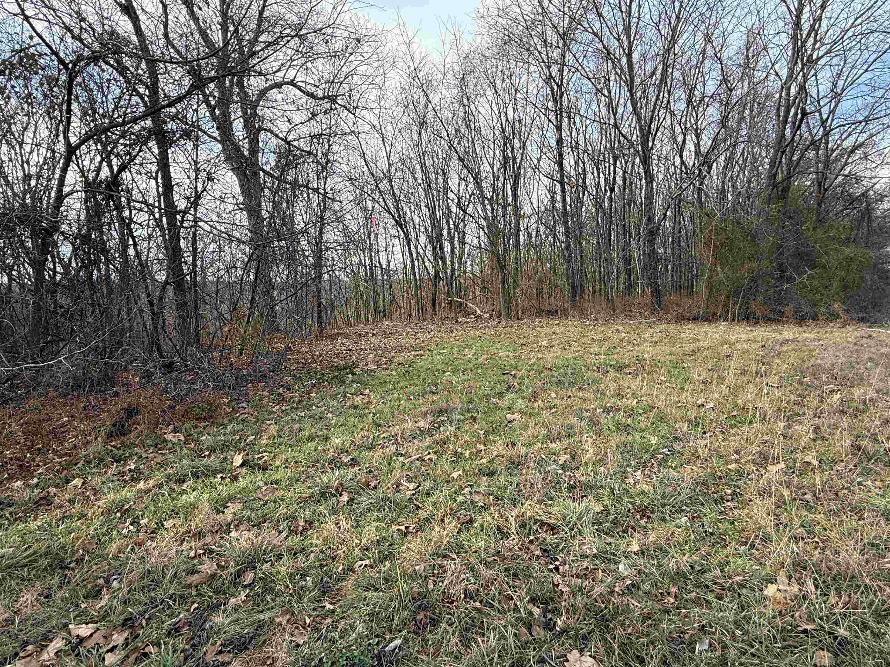 Photo 7 - Vacant Land for sale – 71A  Love Hollow   Mount Pleasant, AR
