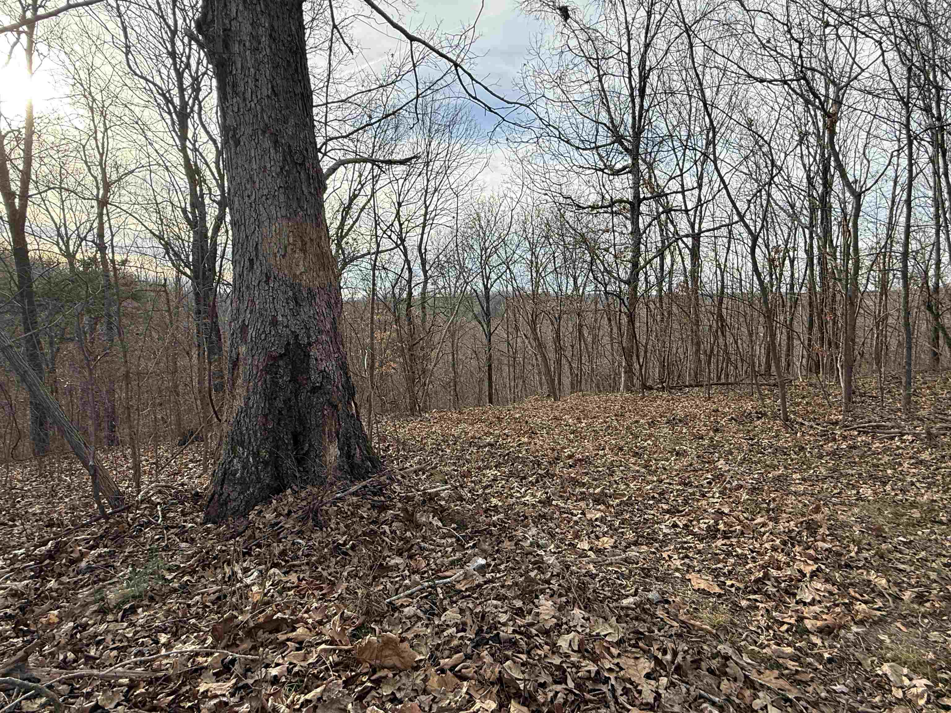 Photo 8 - Vacant Land for sale – 71A  Love Hollow   Mount Pleasant, AR