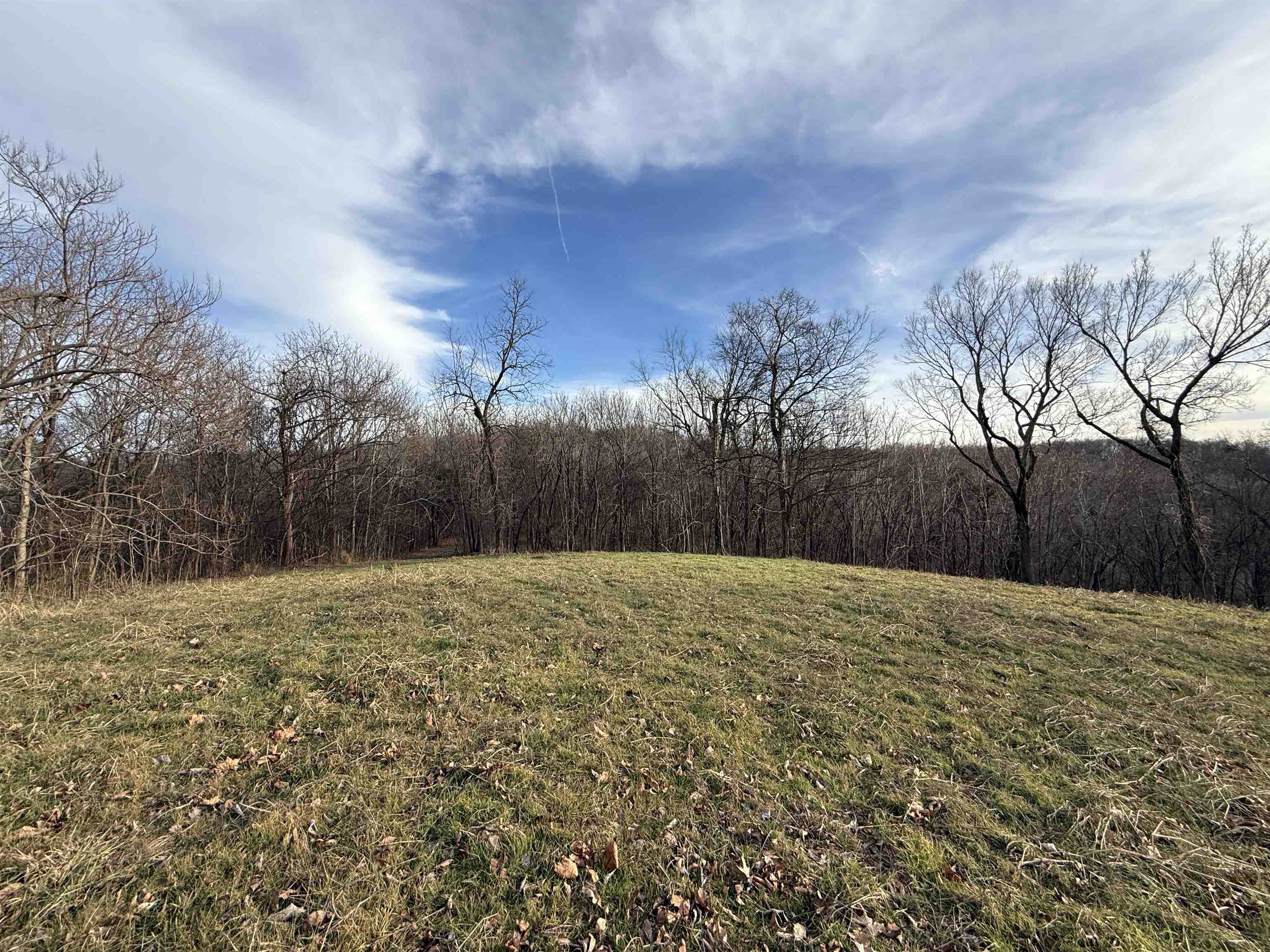 Photo 9 - Vacant Land for sale – 71A  Love Hollow   Mount Pleasant, AR