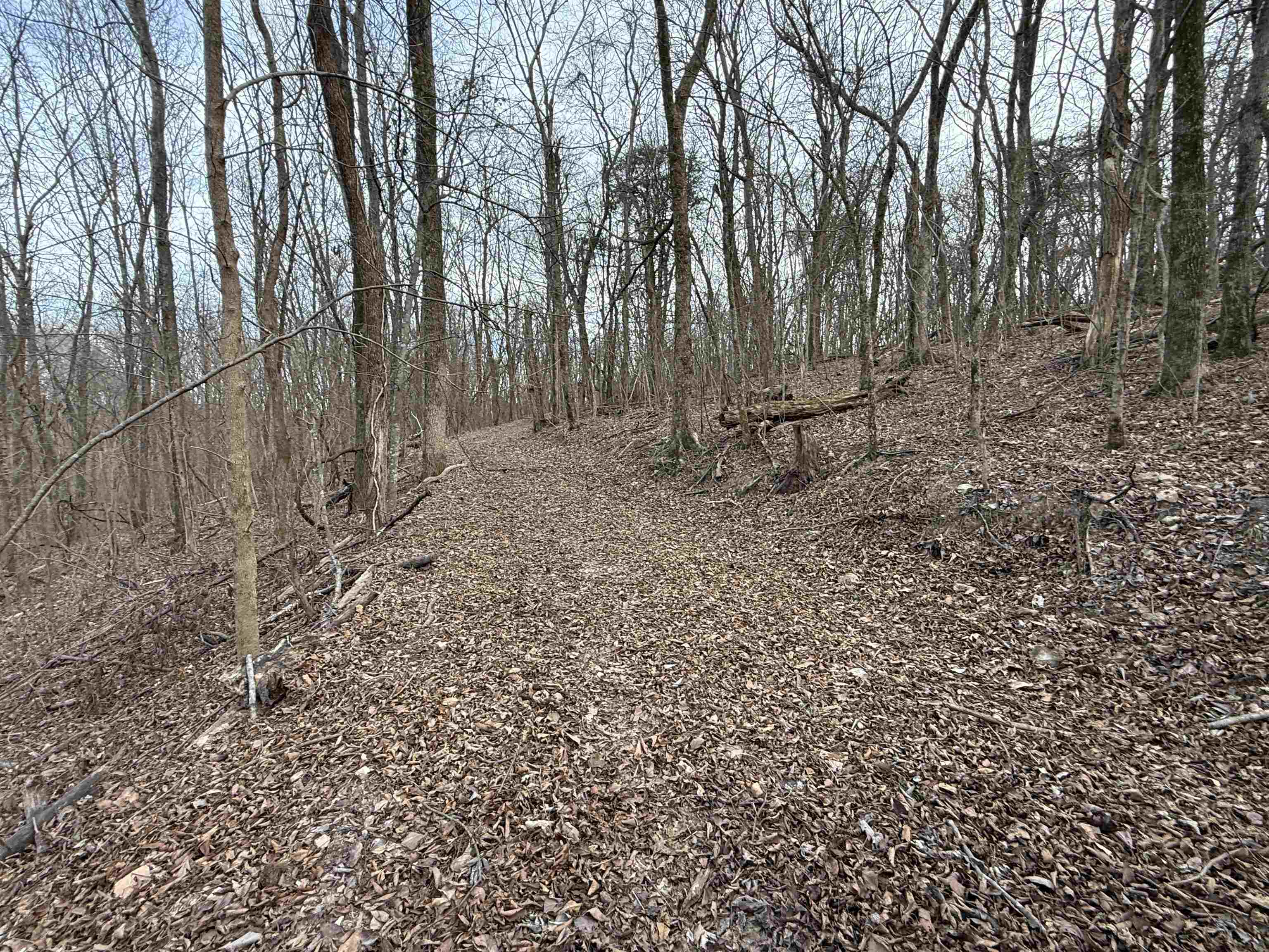 Photo 10 - Vacant Land for sale – 71A  Love Hollow   Mount Pleasant, AR