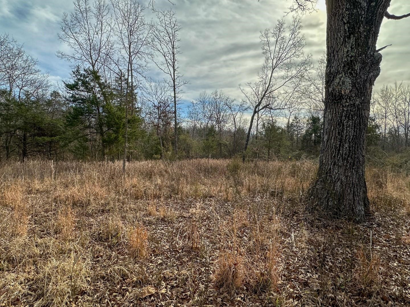 Photo 11 - Vacant Land for sale – XX  Liberty Hill   Hardy, AR