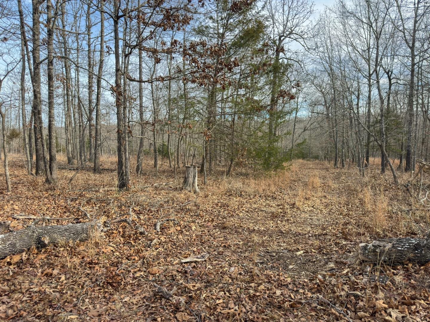 Photo 13 - Vacant Land for sale – XX  Liberty Hill   Hardy, AR