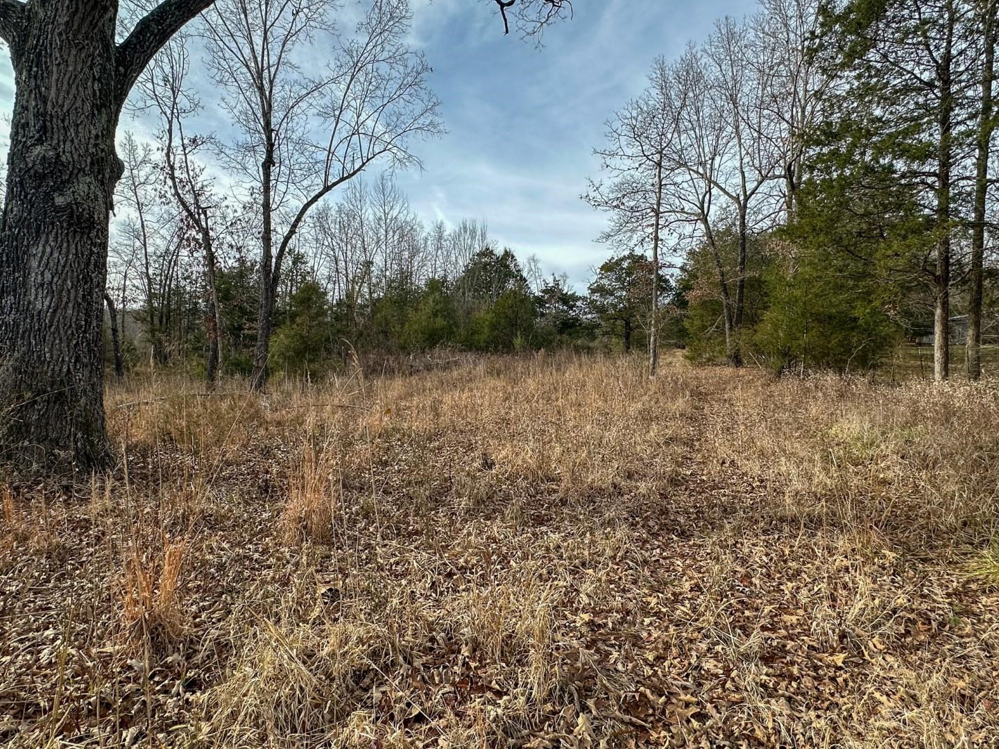 Photo 14 - Vacant Land for sale – XX  Liberty Hill   Hardy, AR