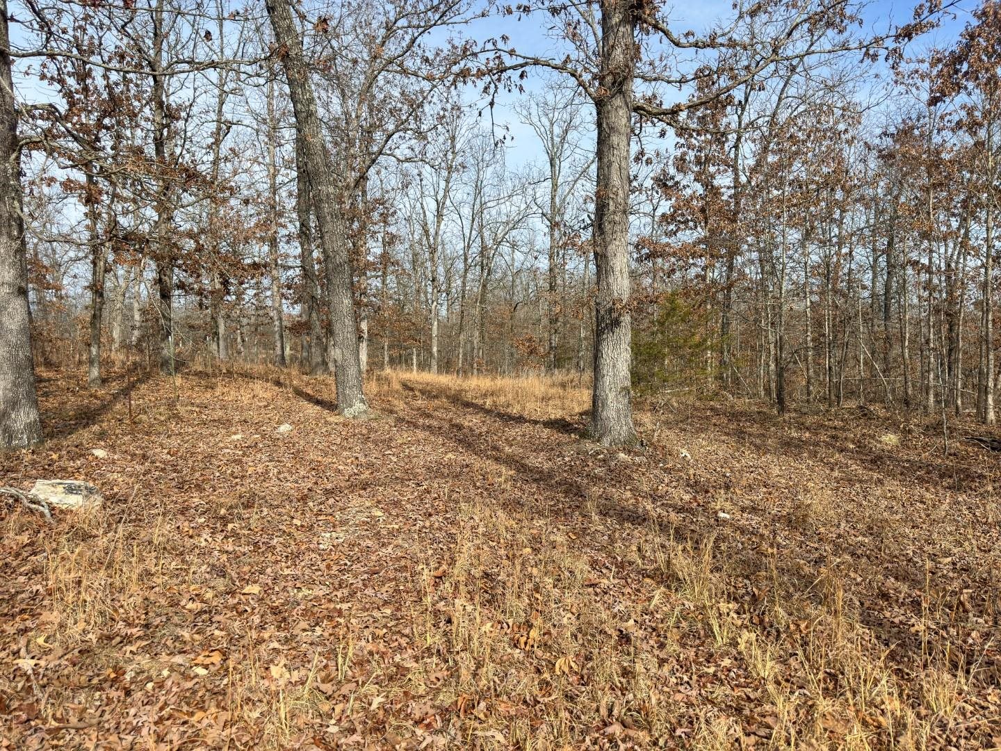 Photo 15 - Vacant Land for sale – XX  Liberty Hill   Hardy, AR