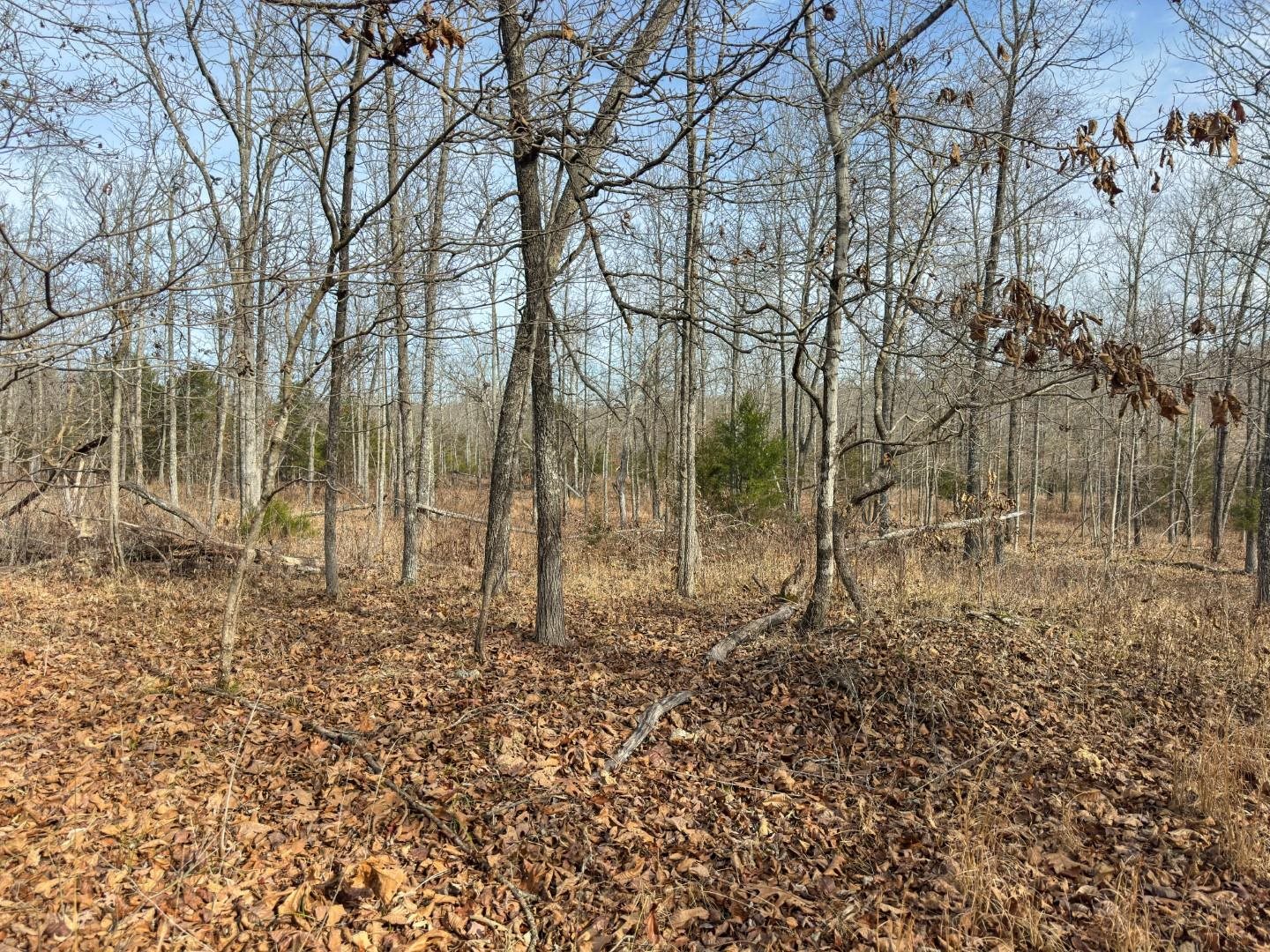 Photo 16 - Vacant Land for sale – XX  Liberty Hill   Hardy, AR