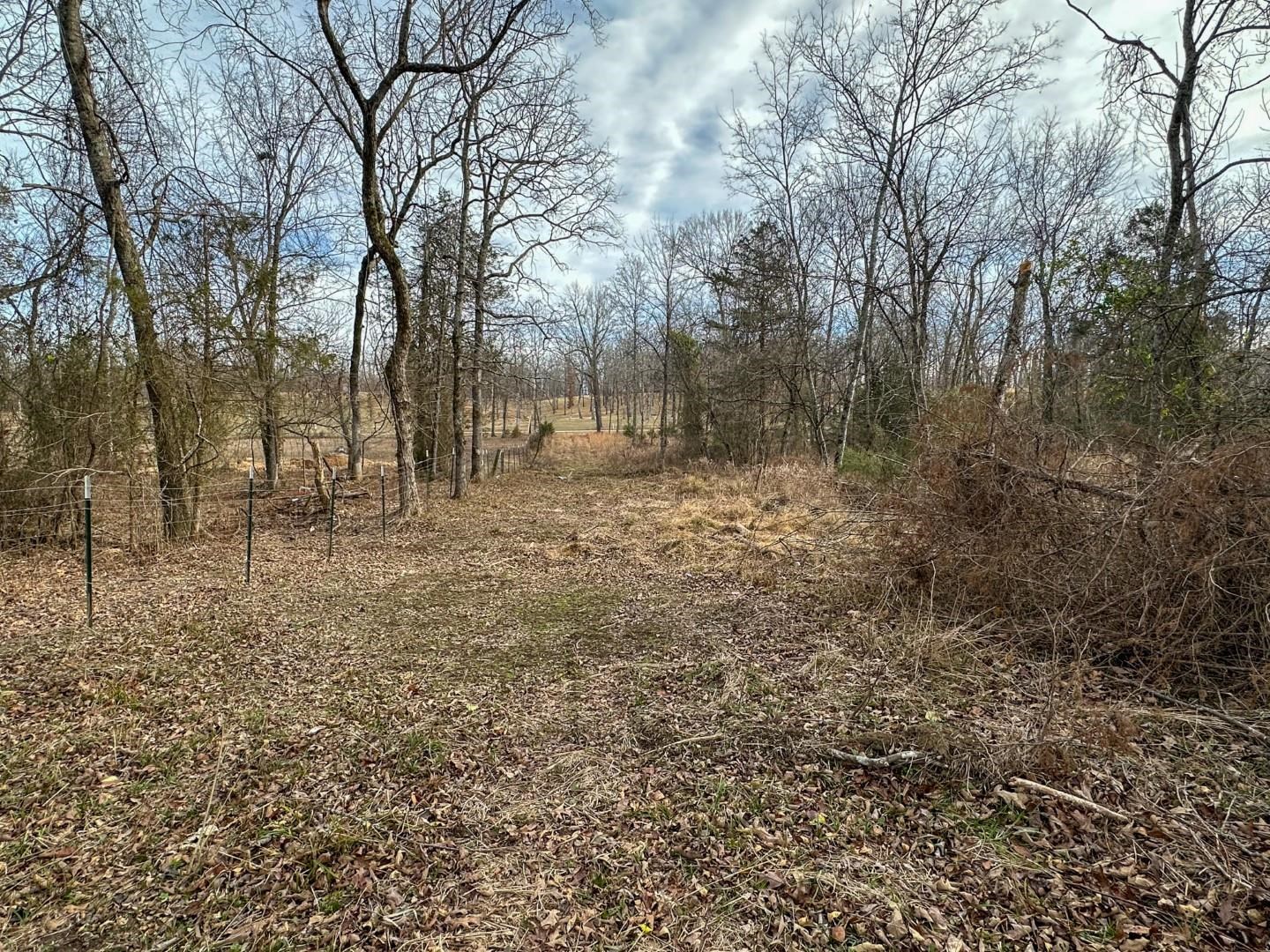 Photo 17 - Vacant Land for sale – XX  Liberty Hill   Hardy, AR