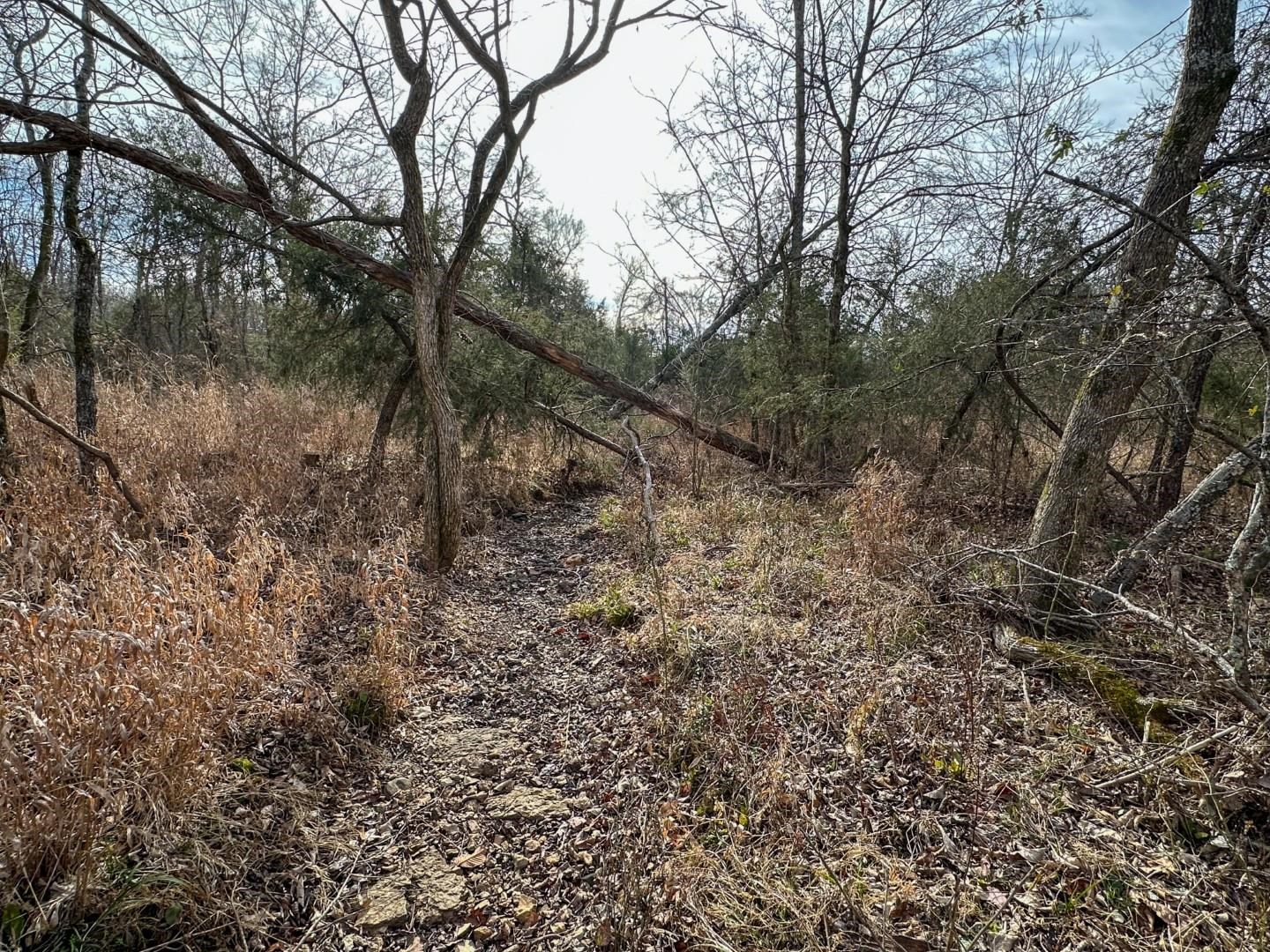 Photo 18 - Vacant Land for sale – XX  Liberty Hill   Hardy, AR