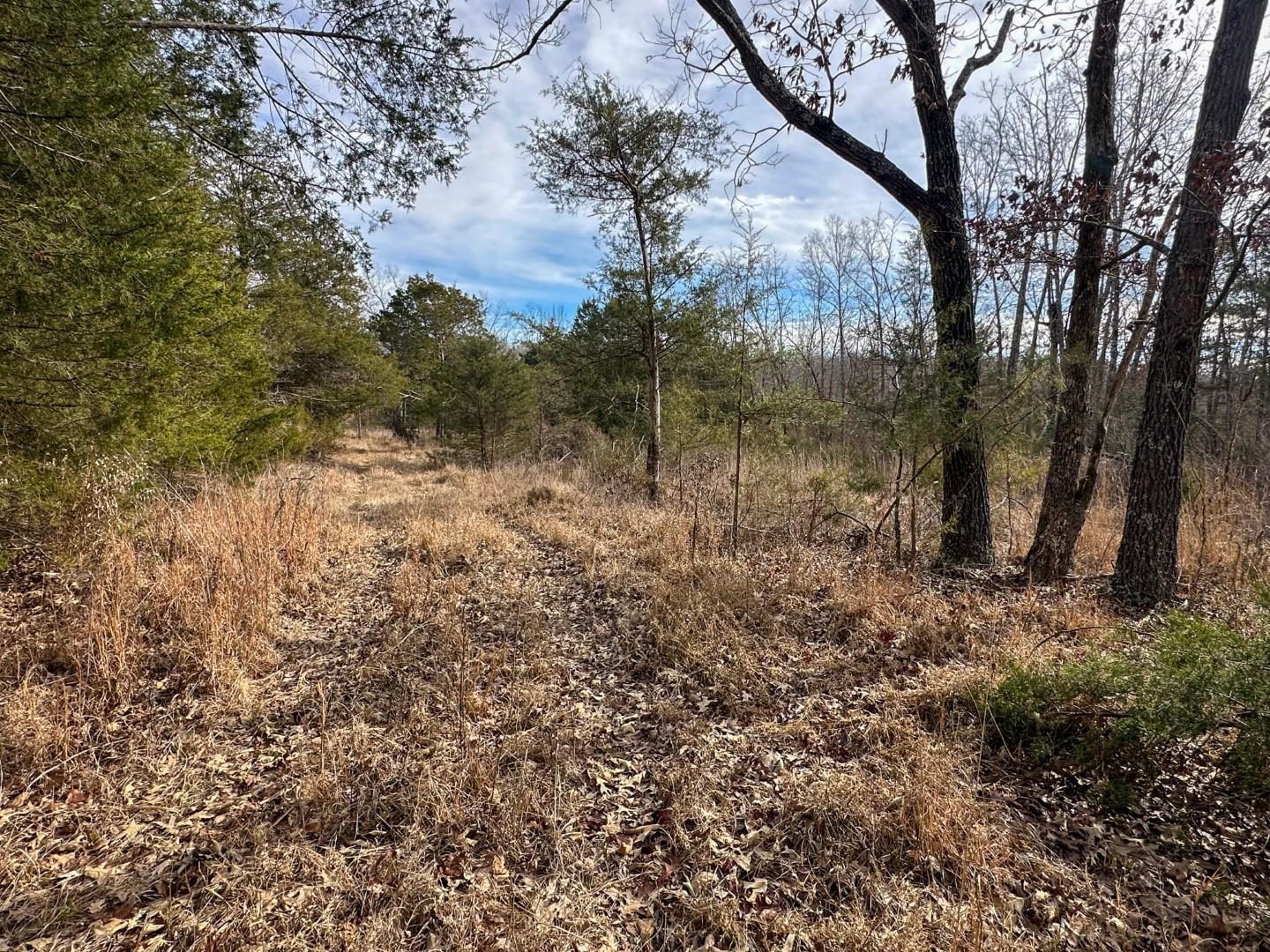 Photo 19 - Vacant Land for sale – XX  Liberty Hill   Hardy, AR