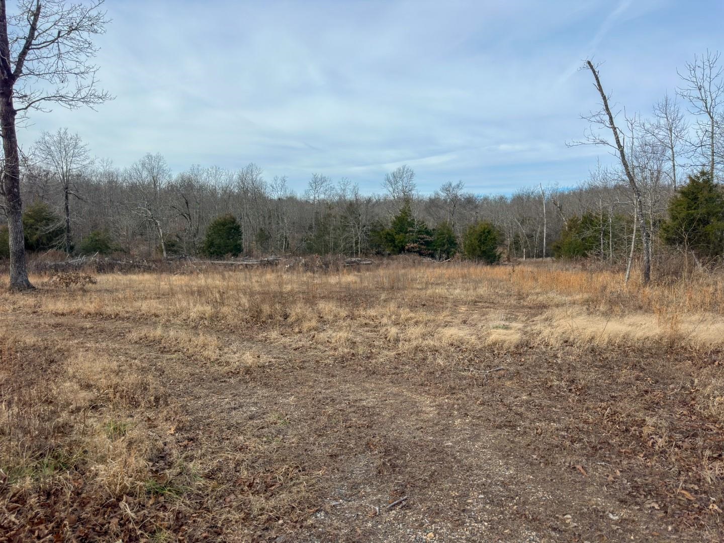 Photo 3 - Vacant Land for sale – XX  Liberty Hill   Hardy, AR