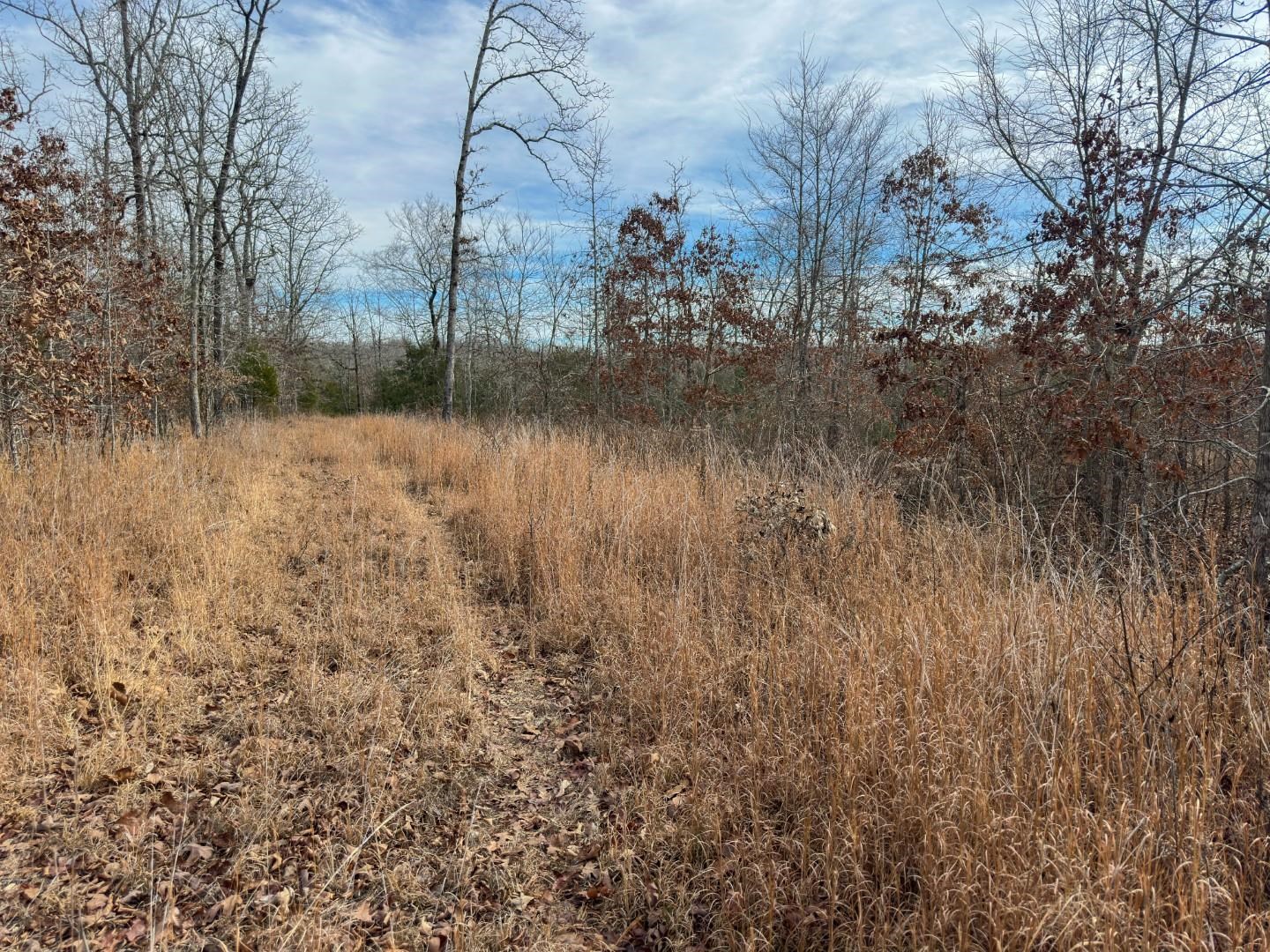 Photo 21 - Vacant Land for sale – XX  Liberty Hill   Hardy, AR