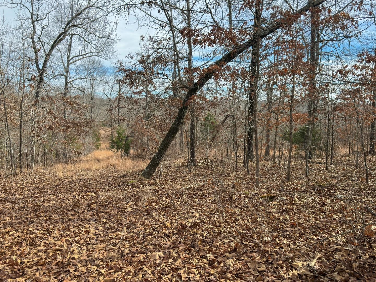 Photo 22 - Vacant Land for sale – XX  Liberty Hill   Hardy, AR