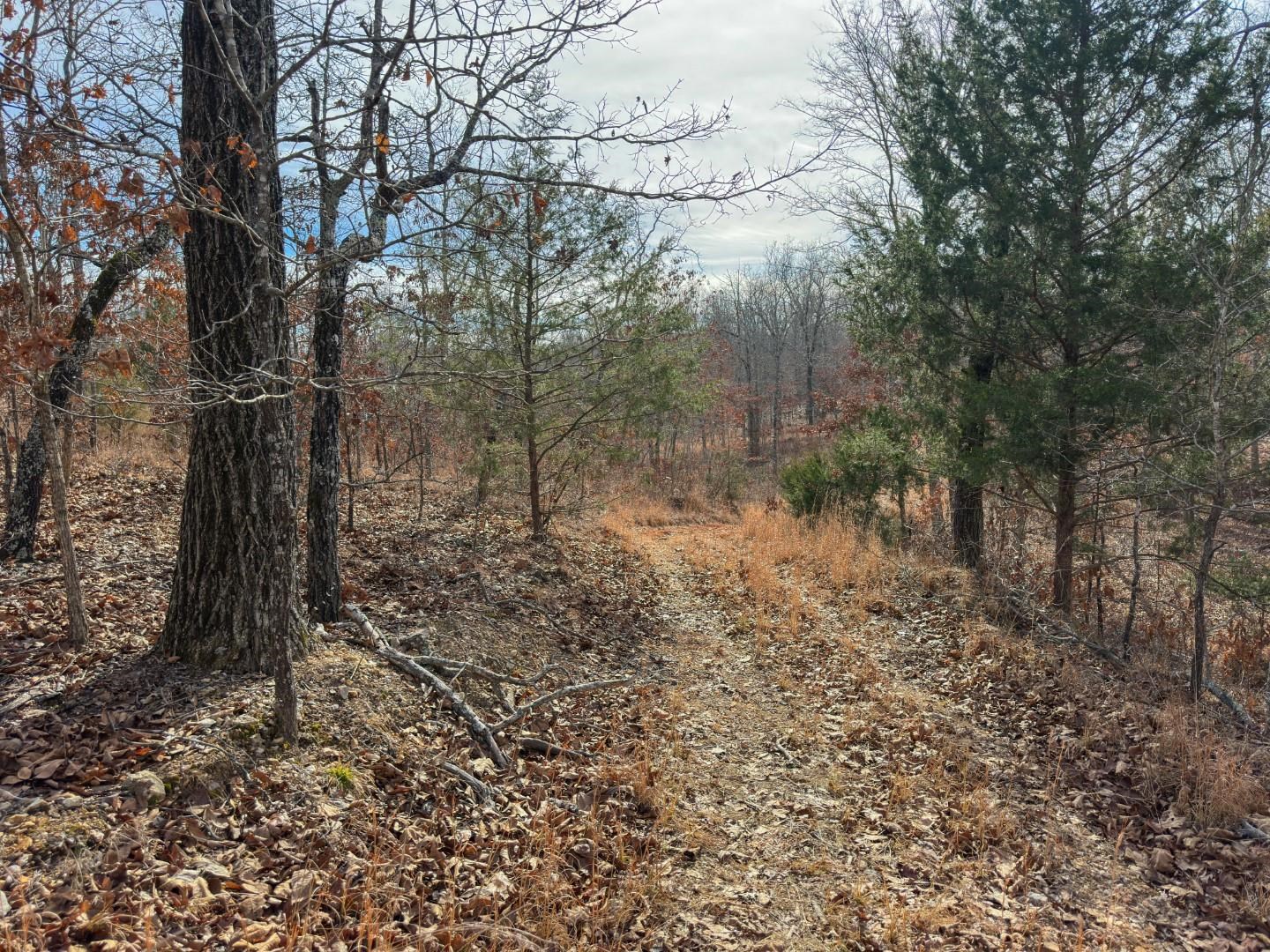 Photo 23 - Vacant Land for sale – XX  Liberty Hill   Hardy, AR