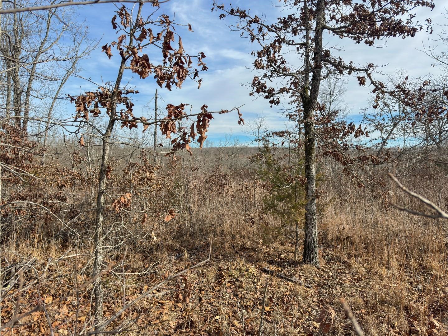 Photo 24 - Vacant Land for sale – XX  Liberty Hill   Hardy, AR