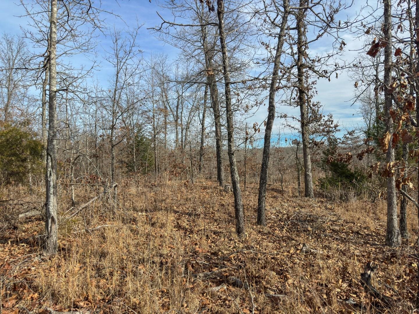 Photo 26 - Vacant Land for sale – XX  Liberty Hill   Hardy, AR