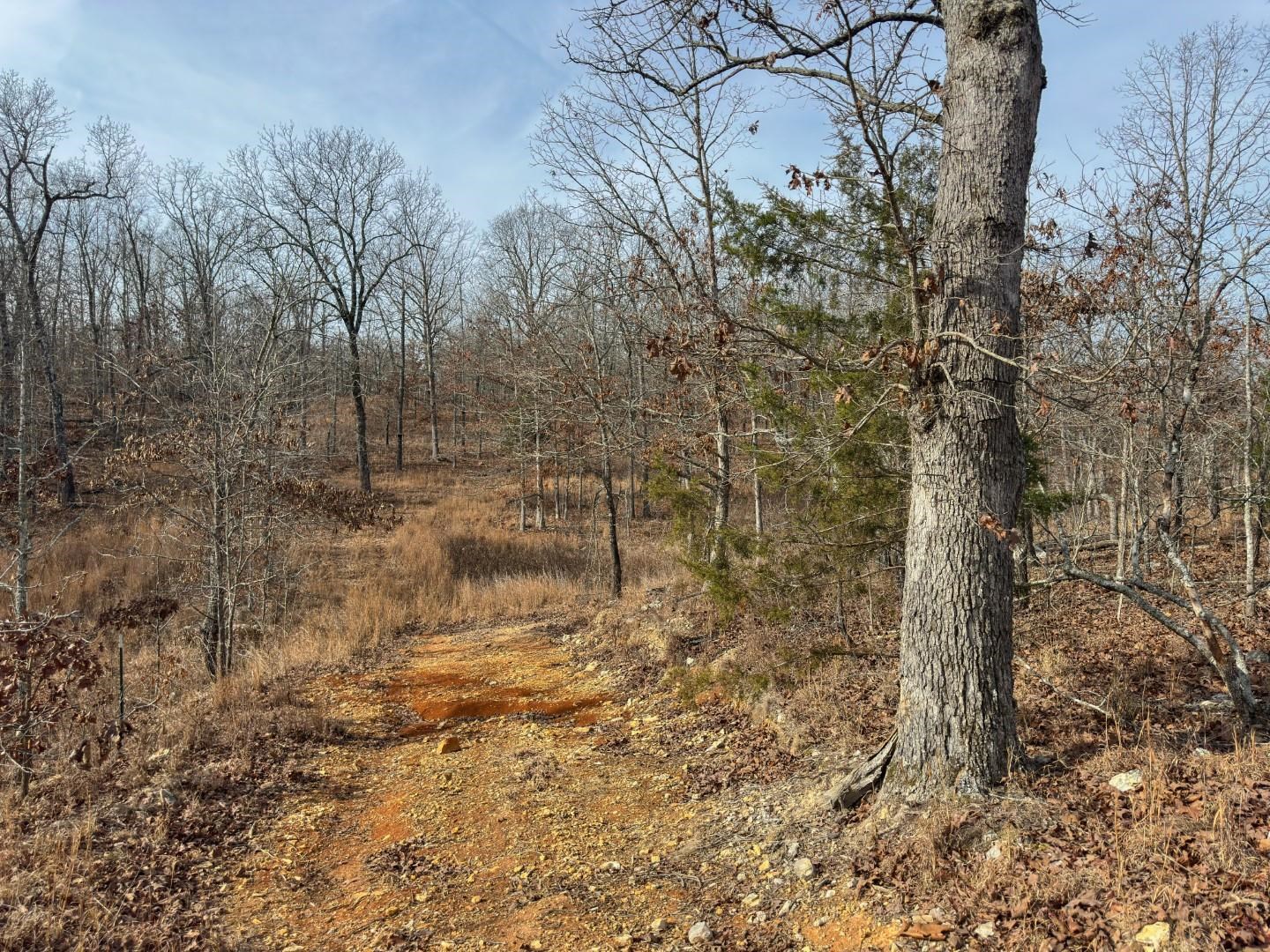 Photo 27 - Vacant Land for sale – XX  Liberty Hill   Hardy, AR