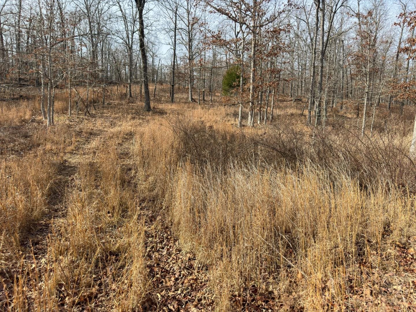 Photo 28 - Vacant Land for sale – XX  Liberty Hill   Hardy, AR