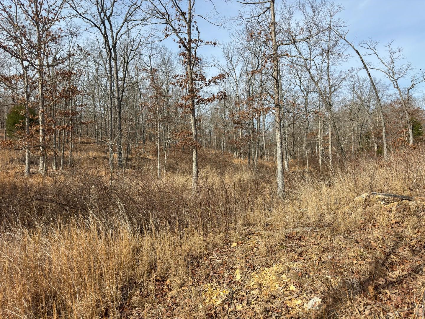 Photo 29 - Vacant Land for sale – XX  Liberty Hill   Hardy, AR