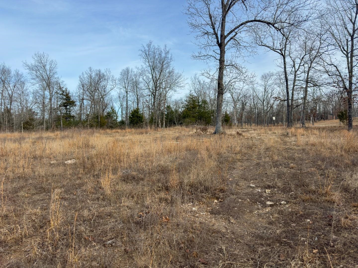 Photo 5 - Vacant Land for sale – XX  Liberty Hill   Hardy, AR