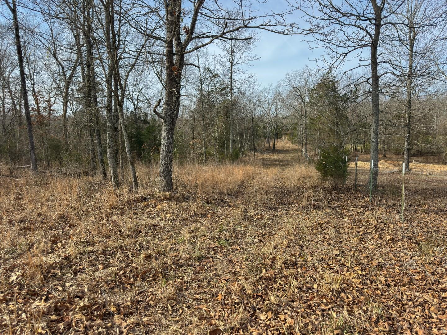 Photo 6 - Vacant Land for sale – XX  Liberty Hill   Hardy, AR