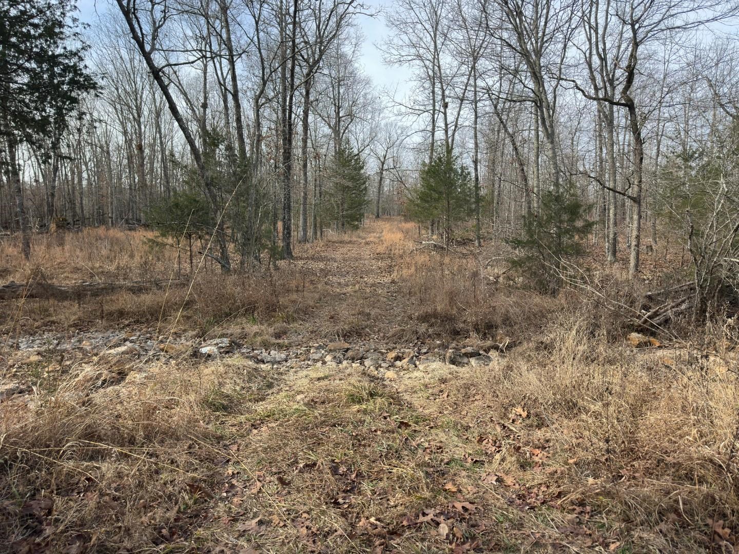 Photo 7 - Vacant Land for sale – XX  Liberty Hill   Hardy, AR