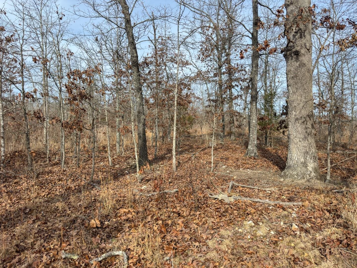 Photo 8 - Vacant Land for sale – XX  Liberty Hill   Hardy, AR