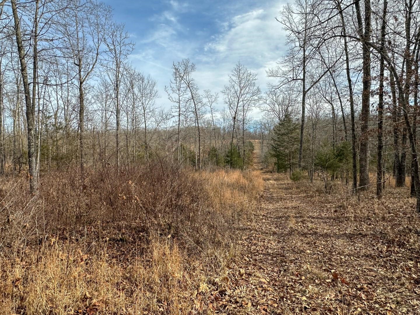 Photo 9 - Vacant Land for sale – XX  Liberty Hill   Hardy, AR