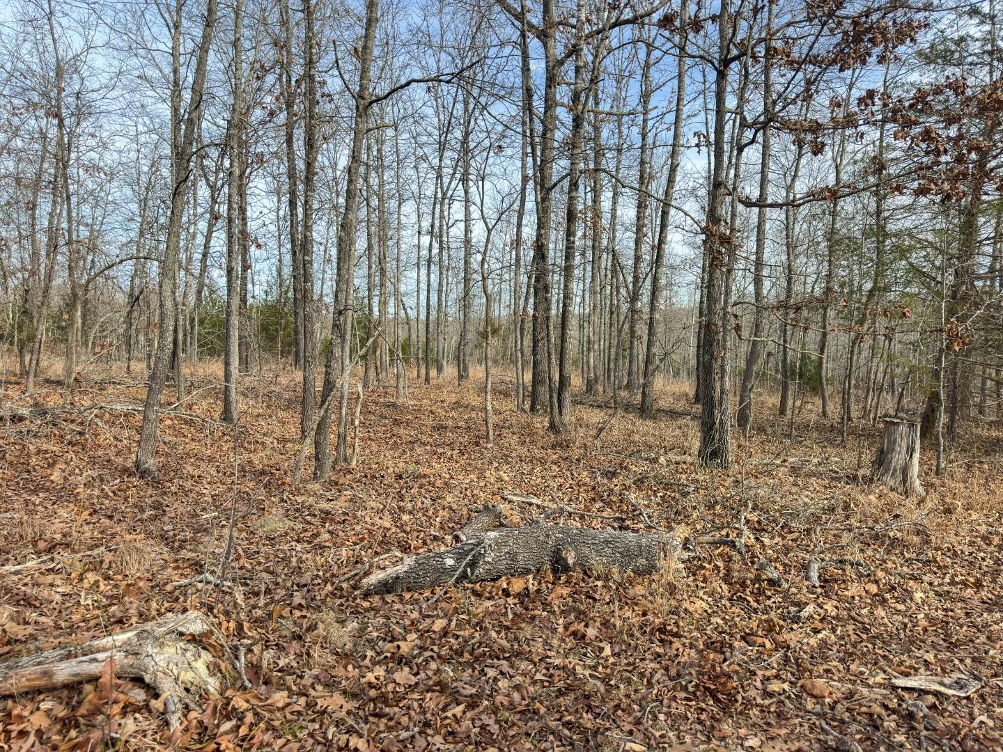 Photo 10 - Vacant Land for sale – XX  Liberty Hill   Hardy, AR