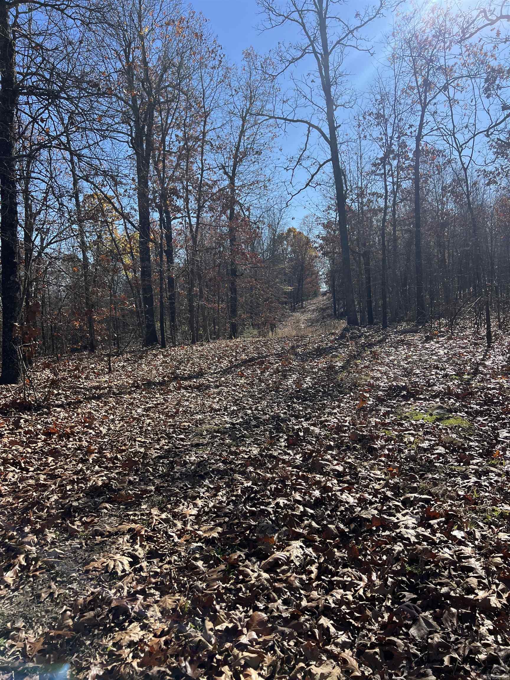 Photo 11 - Vacant Land for sale – 566  Bethany   Ravenden, AR