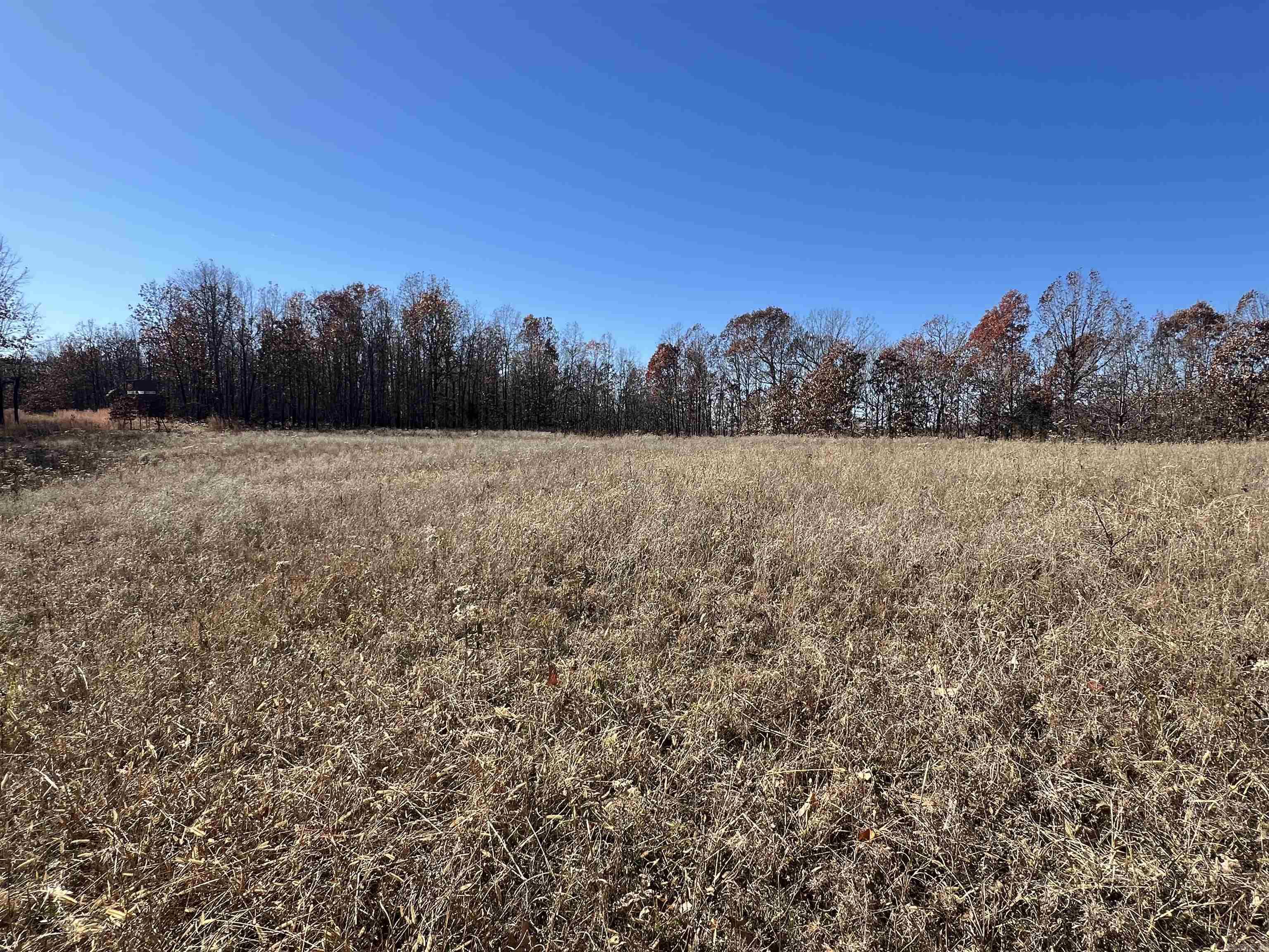 Photo 12 - Vacant Land for sale – 566  Bethany   Ravenden, AR